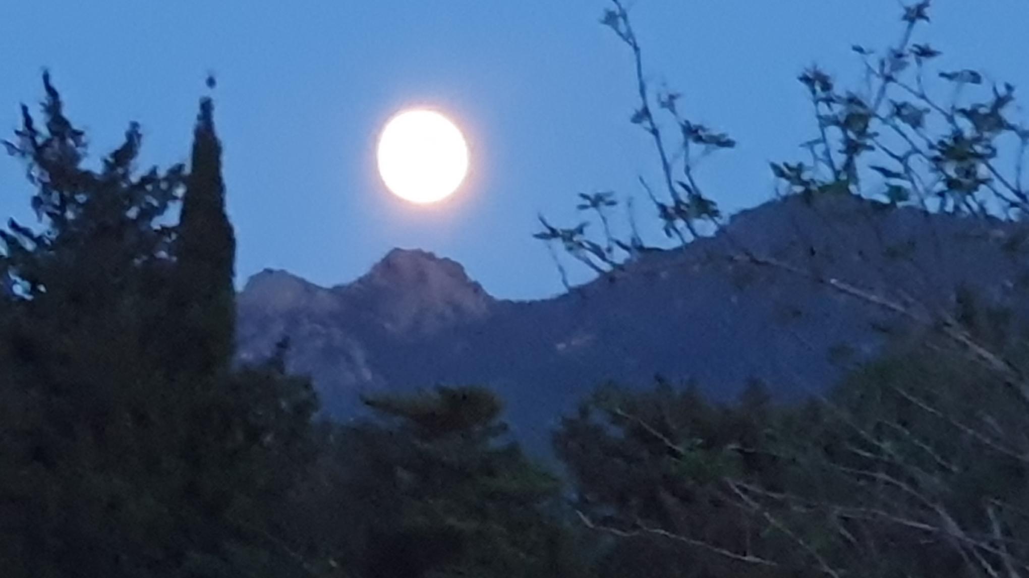 Embodying the Feminine Yoga Day Retreat