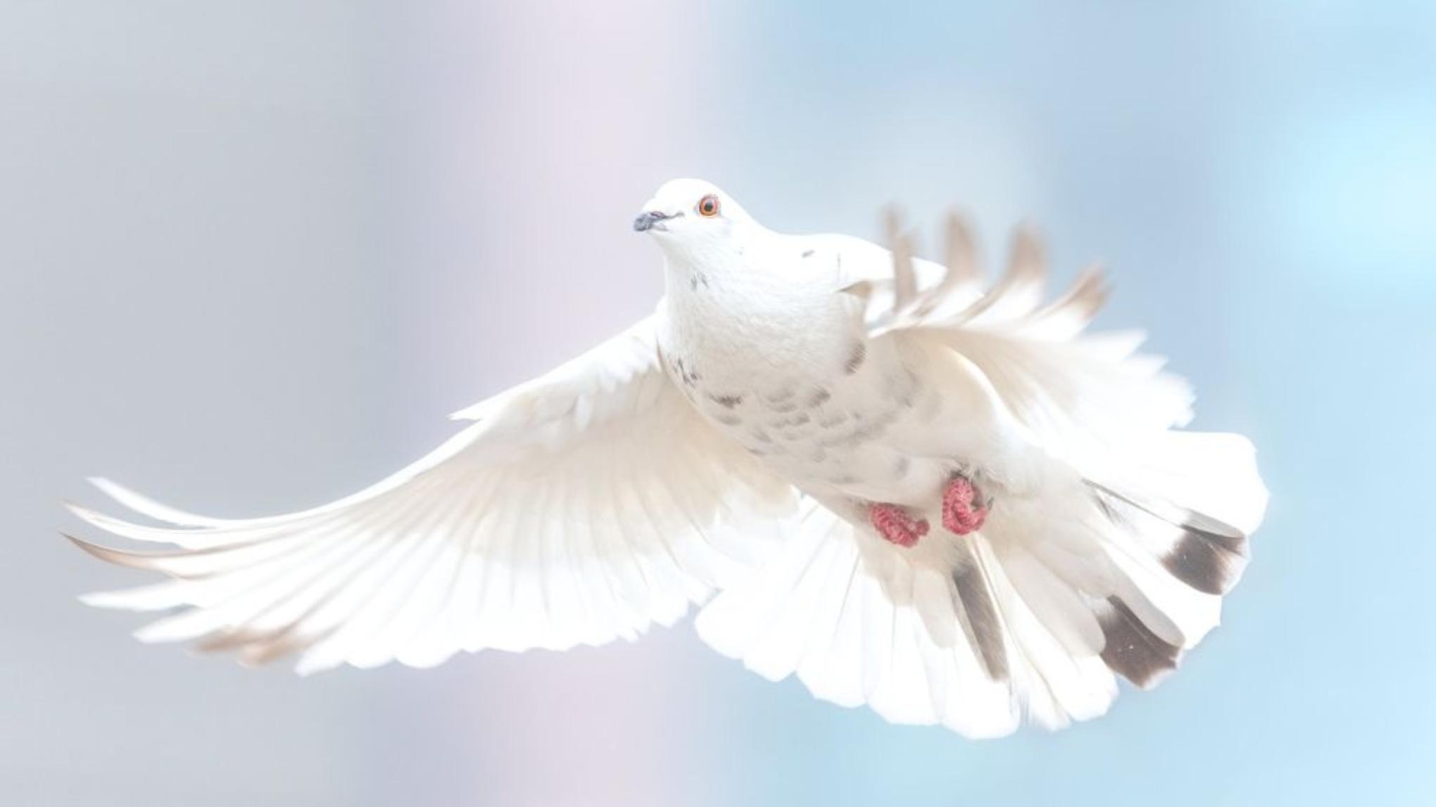 Warm Deep Rest | FRIEDEN IN DIR