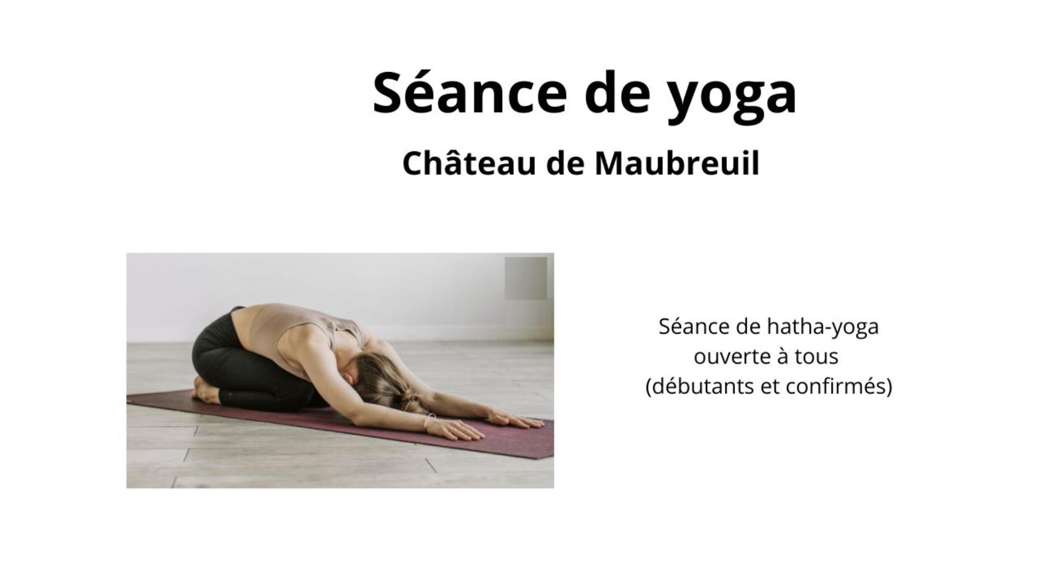 Yoga au Château de Maubreuil