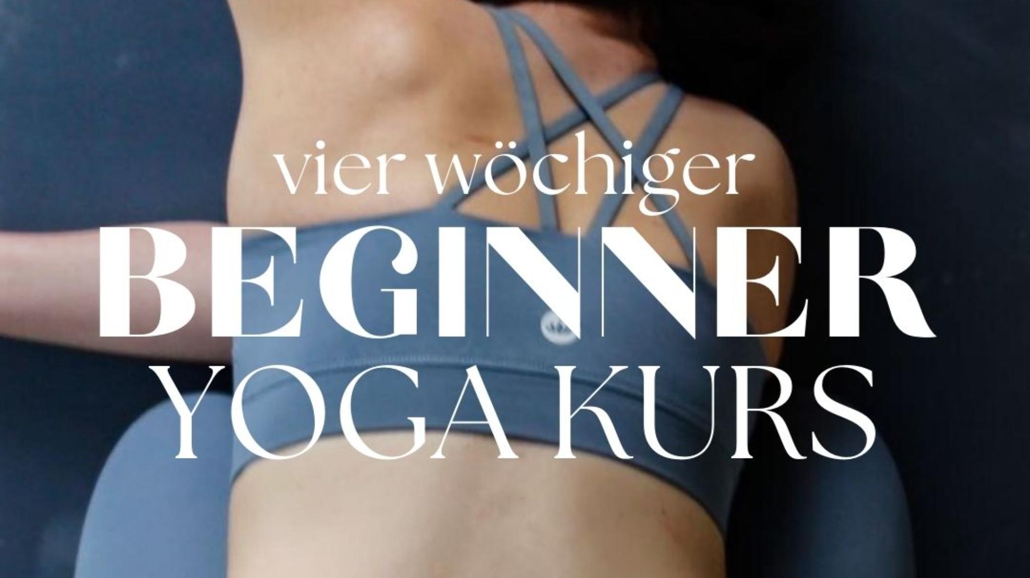 Beginner Kurs