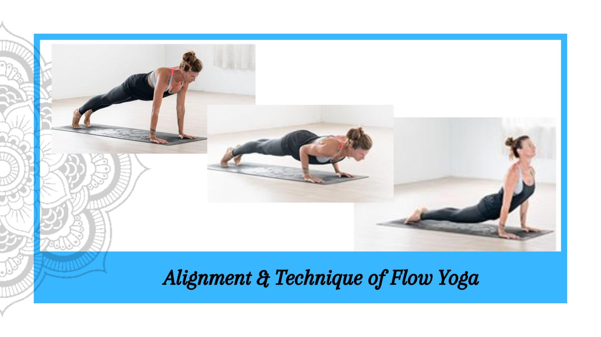 YOGA WORKSHOP: Alignment & Technique with Steph! (Bookings Essential)
