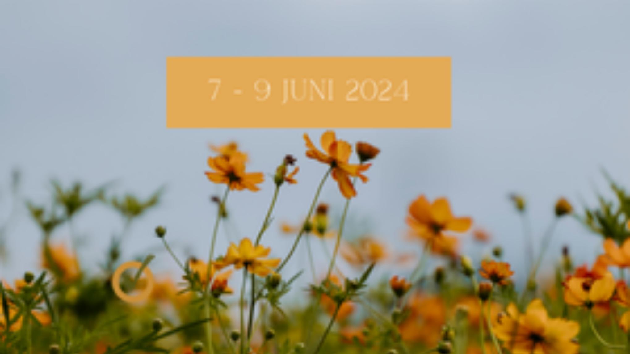 🌺retreat Inner Voice