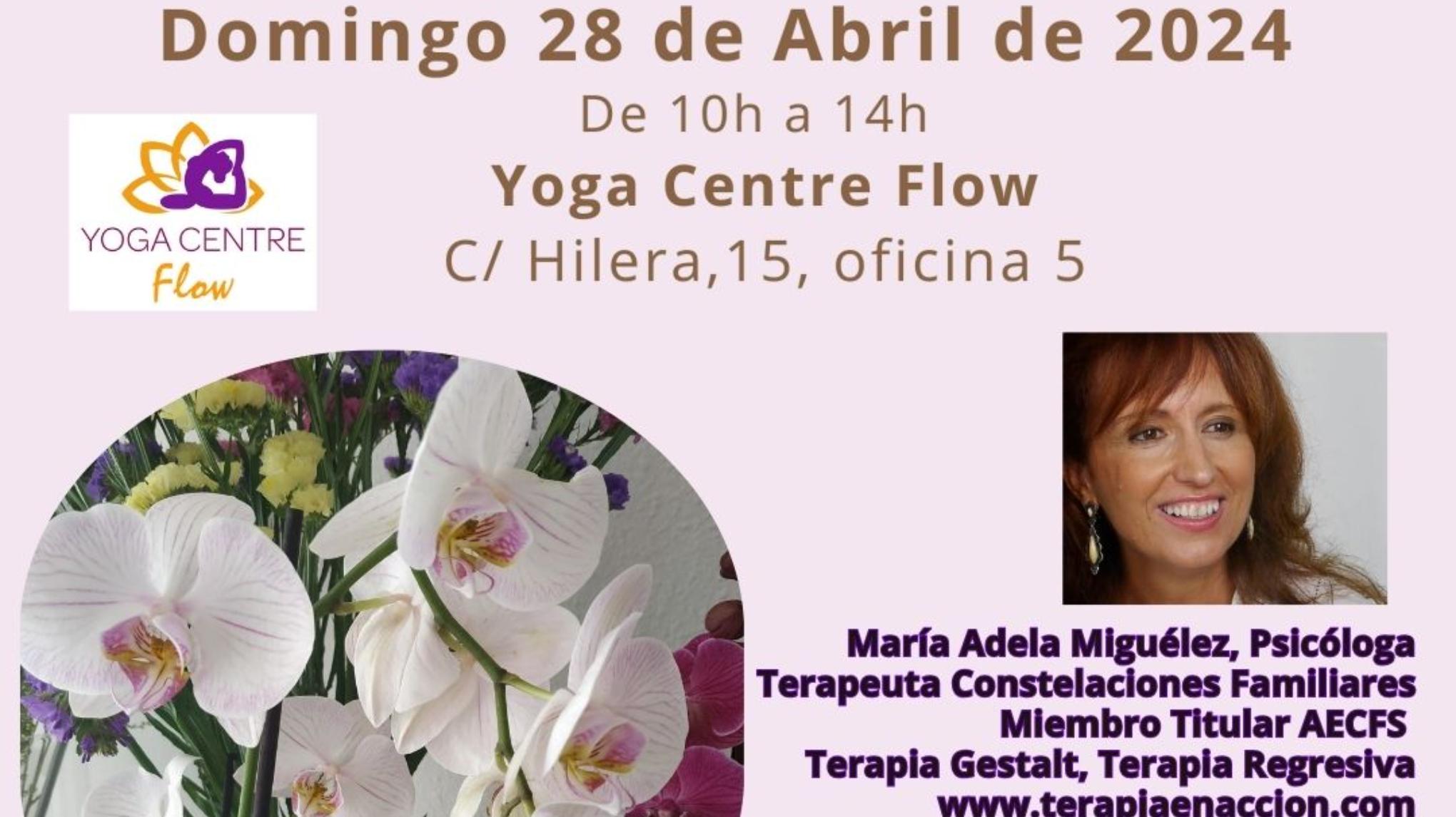 Taller Constelaciones Familiares