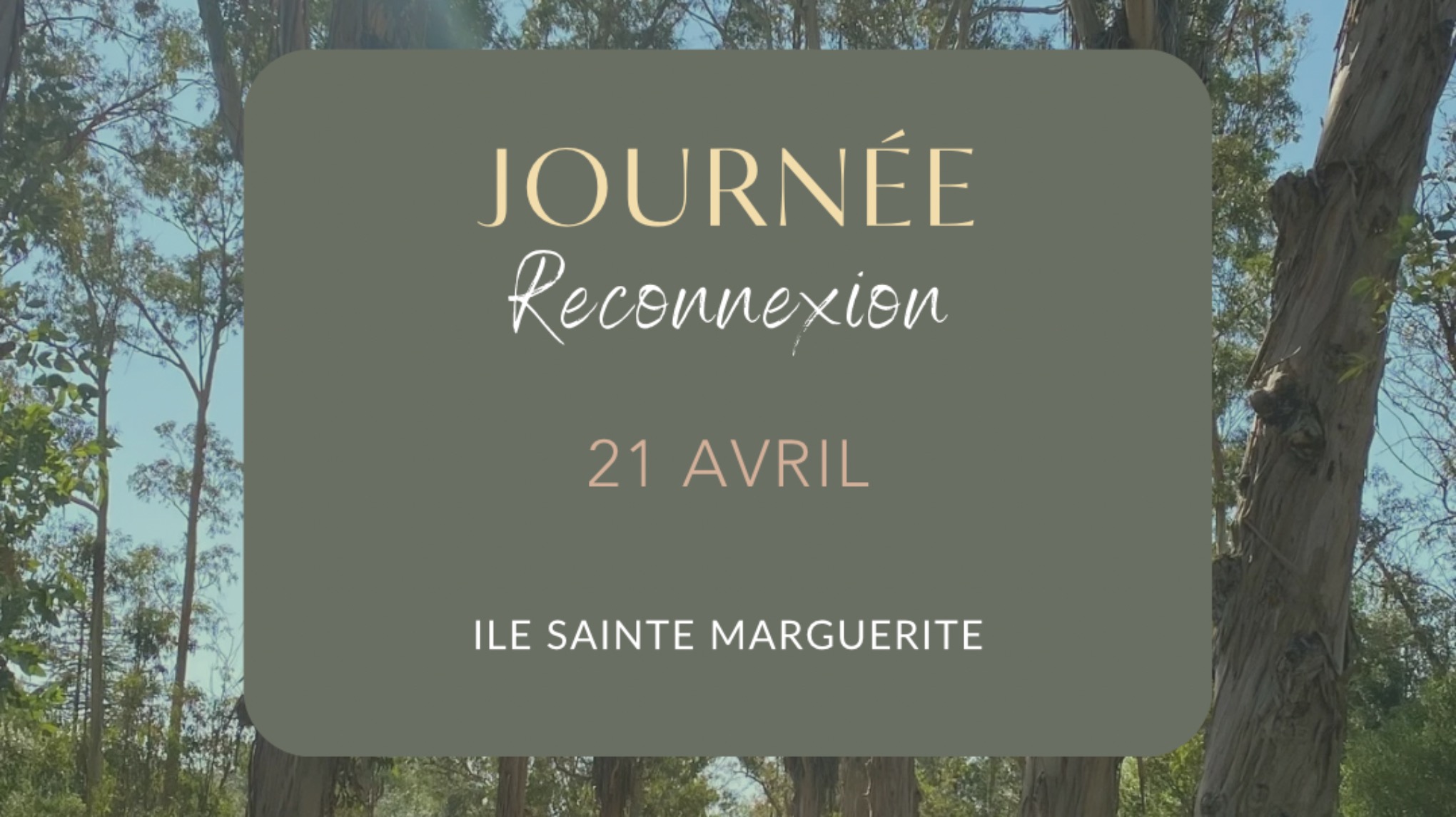 Journée reconnexion