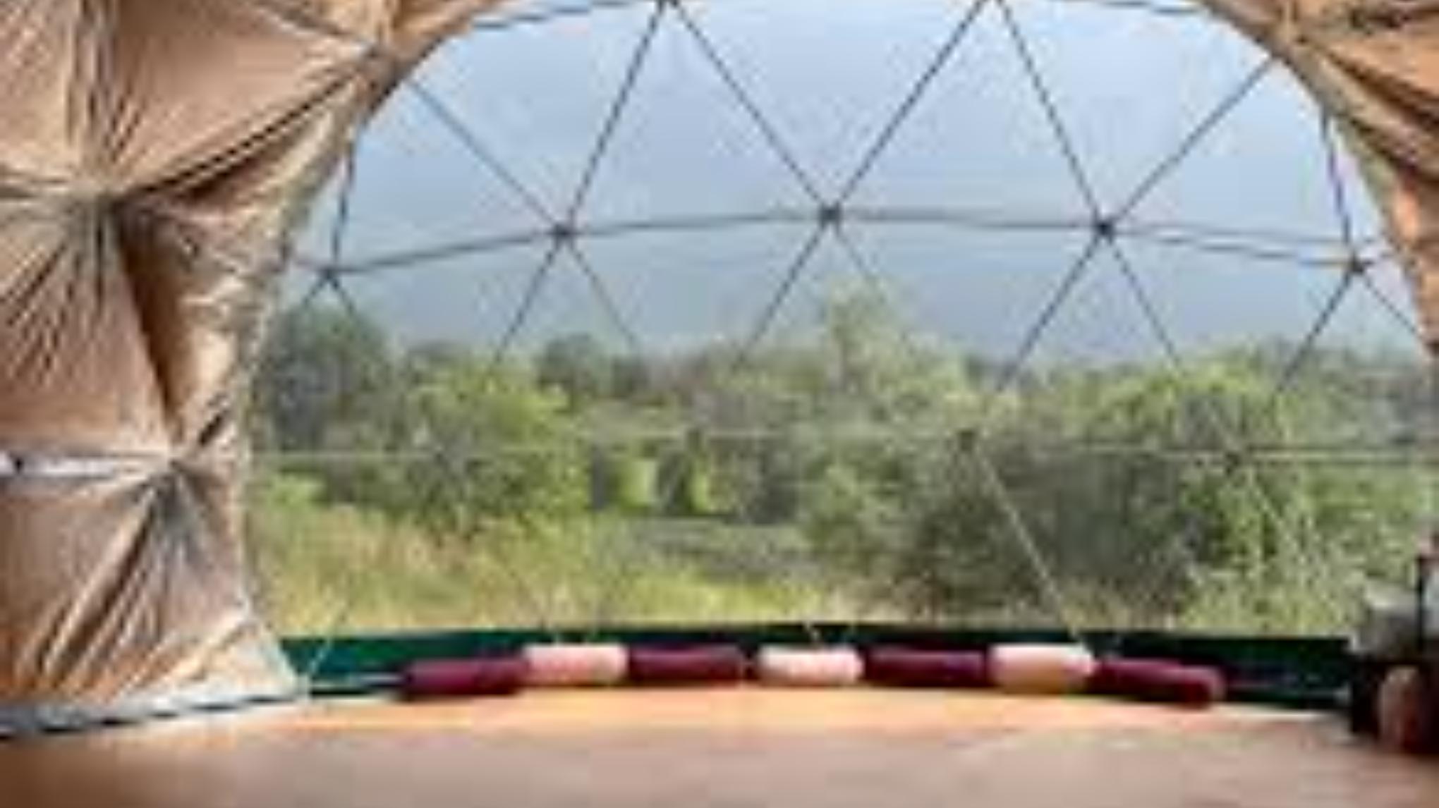 Summer Recharge - Cacao, Vinyasa Flow, Sauna & Cold Water Dip