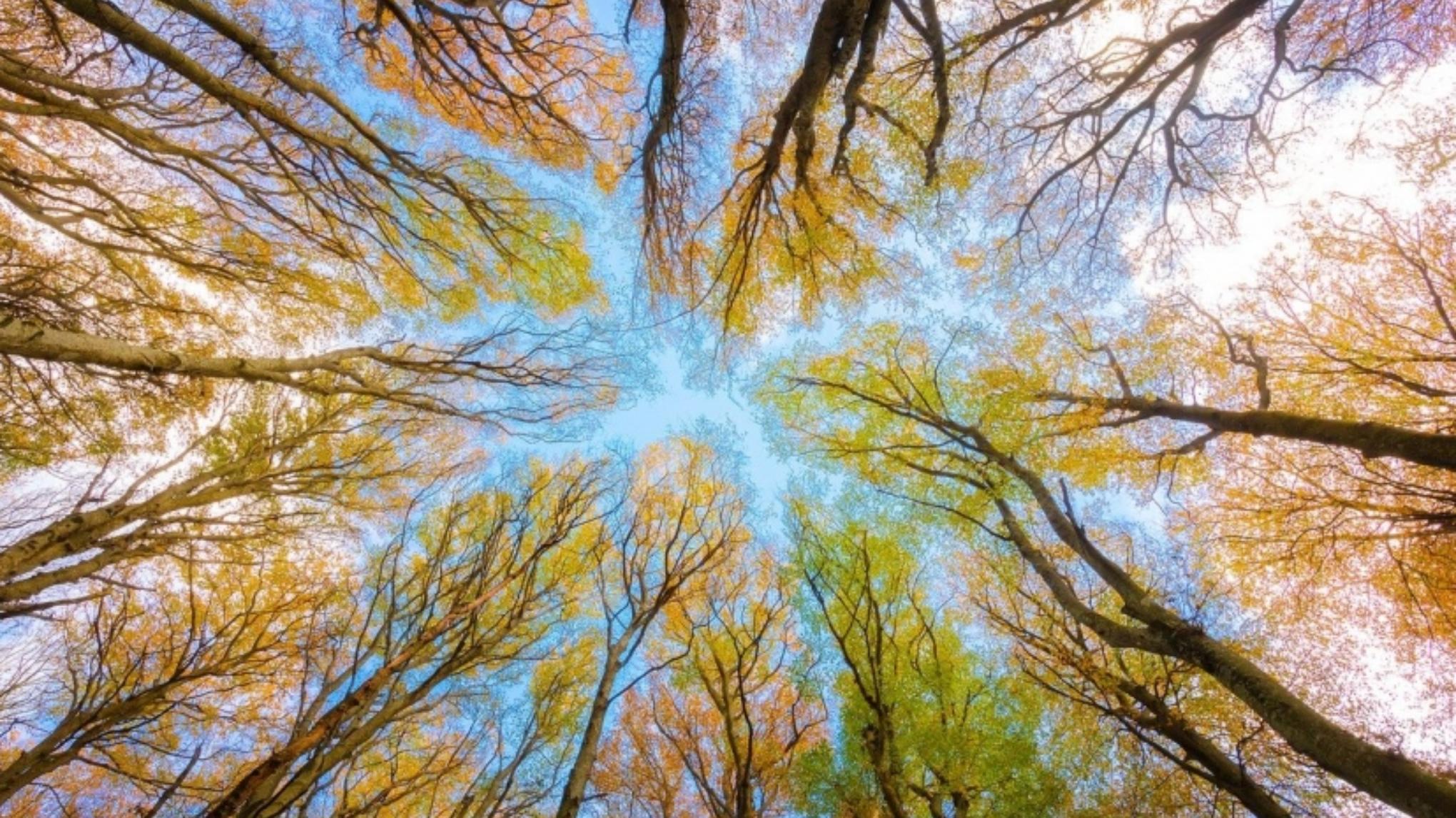 Práctica Completa de Yoga con Rocío