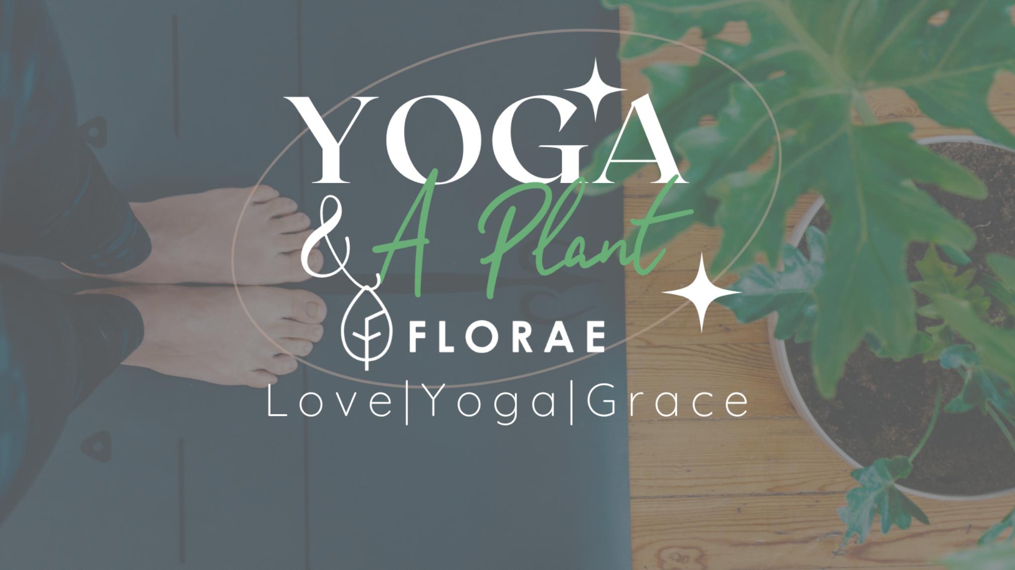 Yoga & A Plant