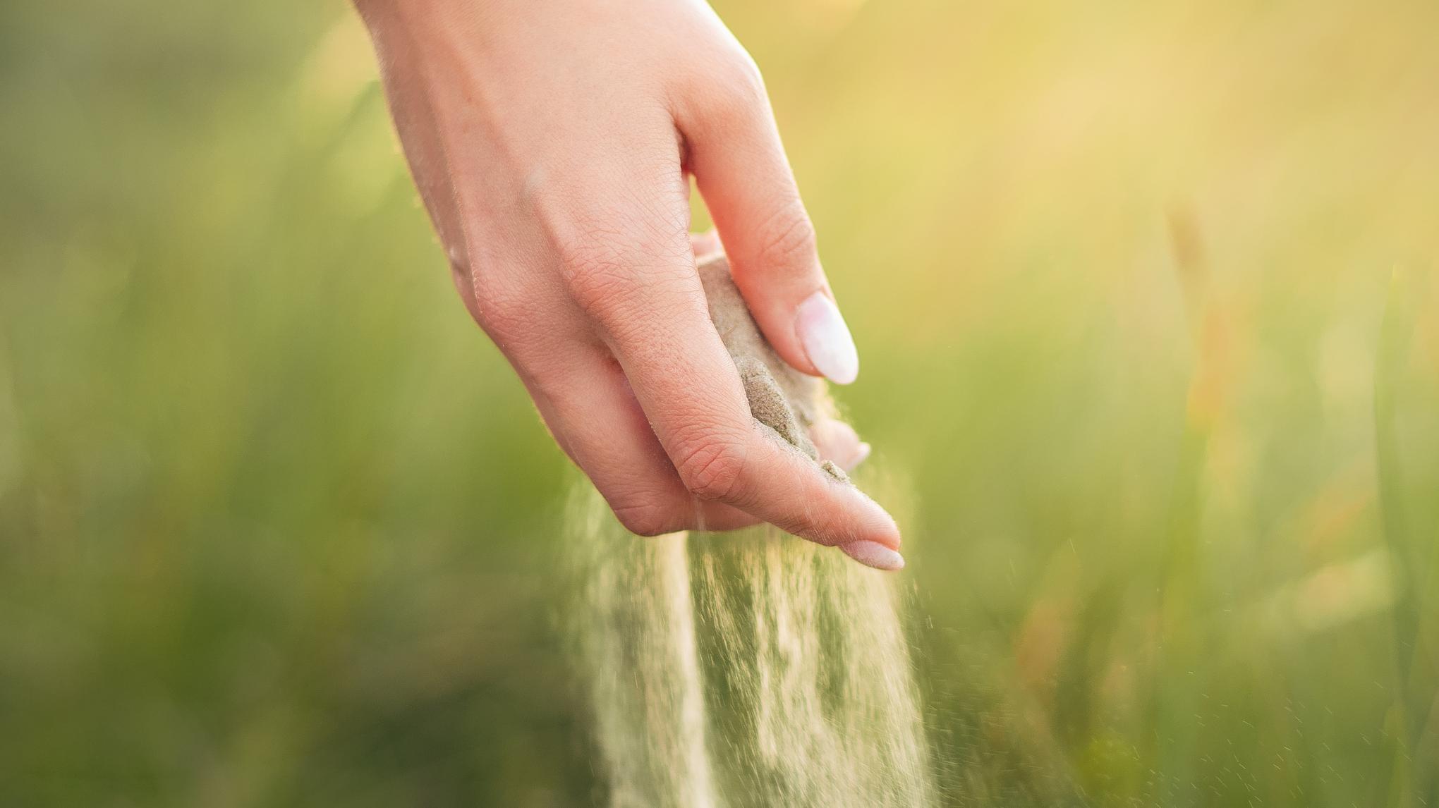 The Peace & Power of Non-attachment