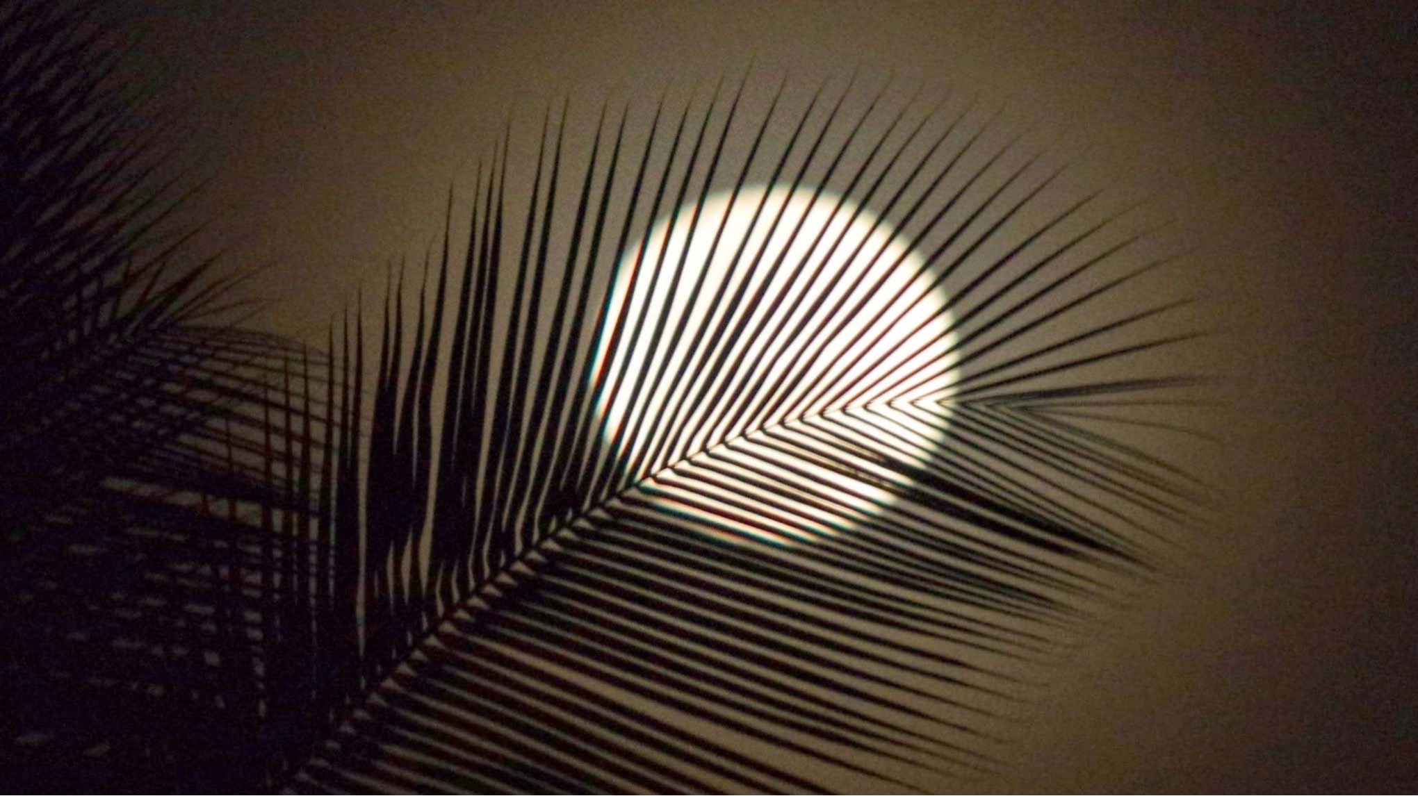 Meet your innervoice - Gratis mini workshop