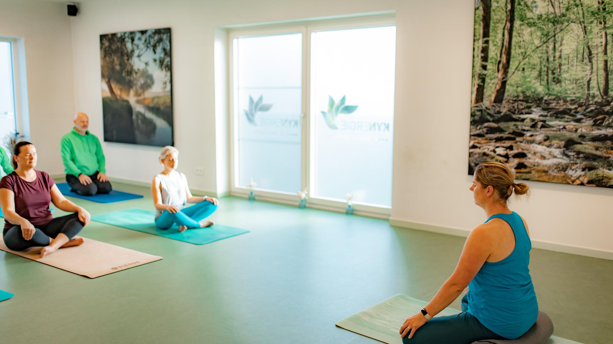 Bewust Vertragen KYNergiedag