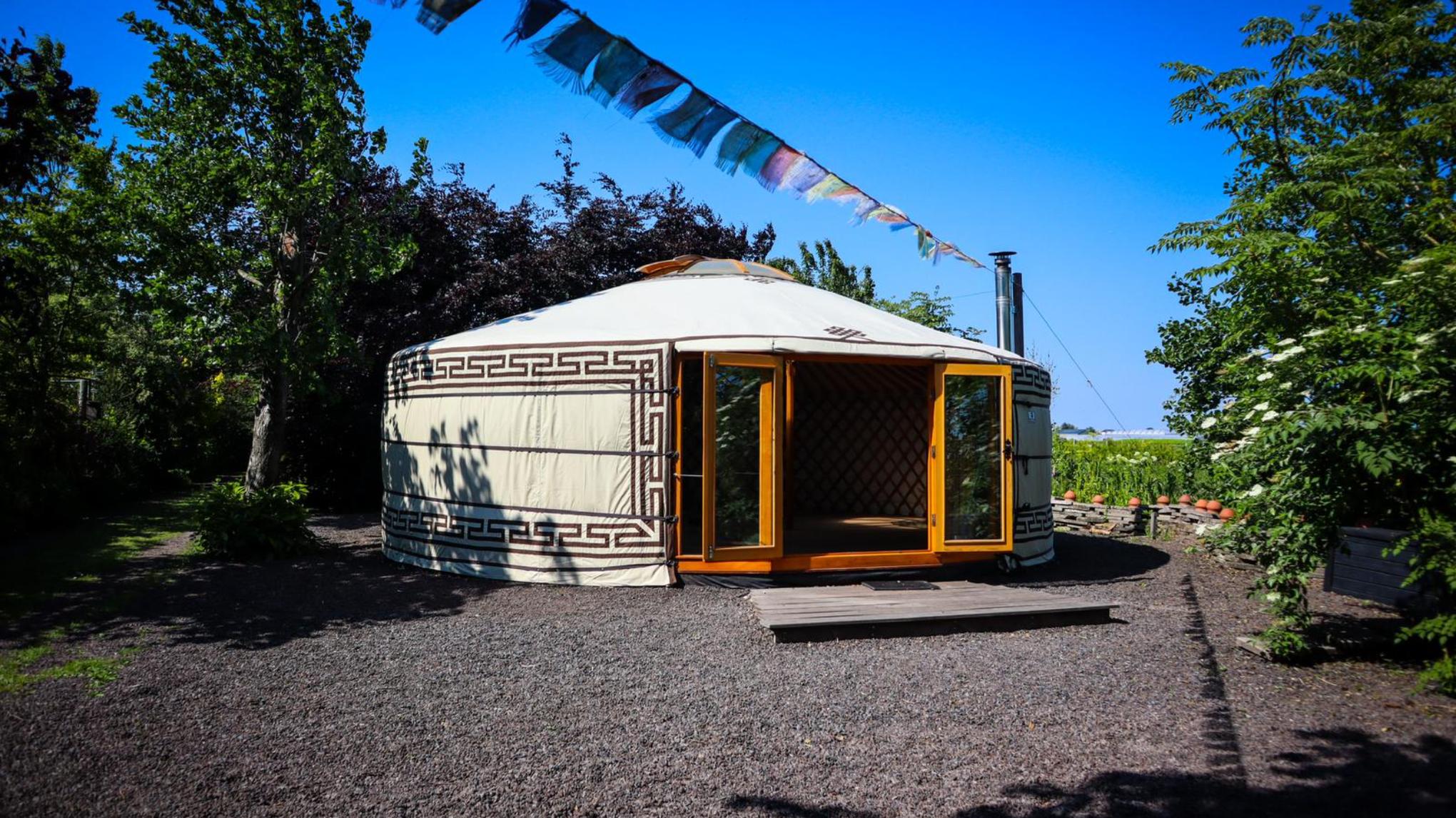 We Flow Dag - Expressie