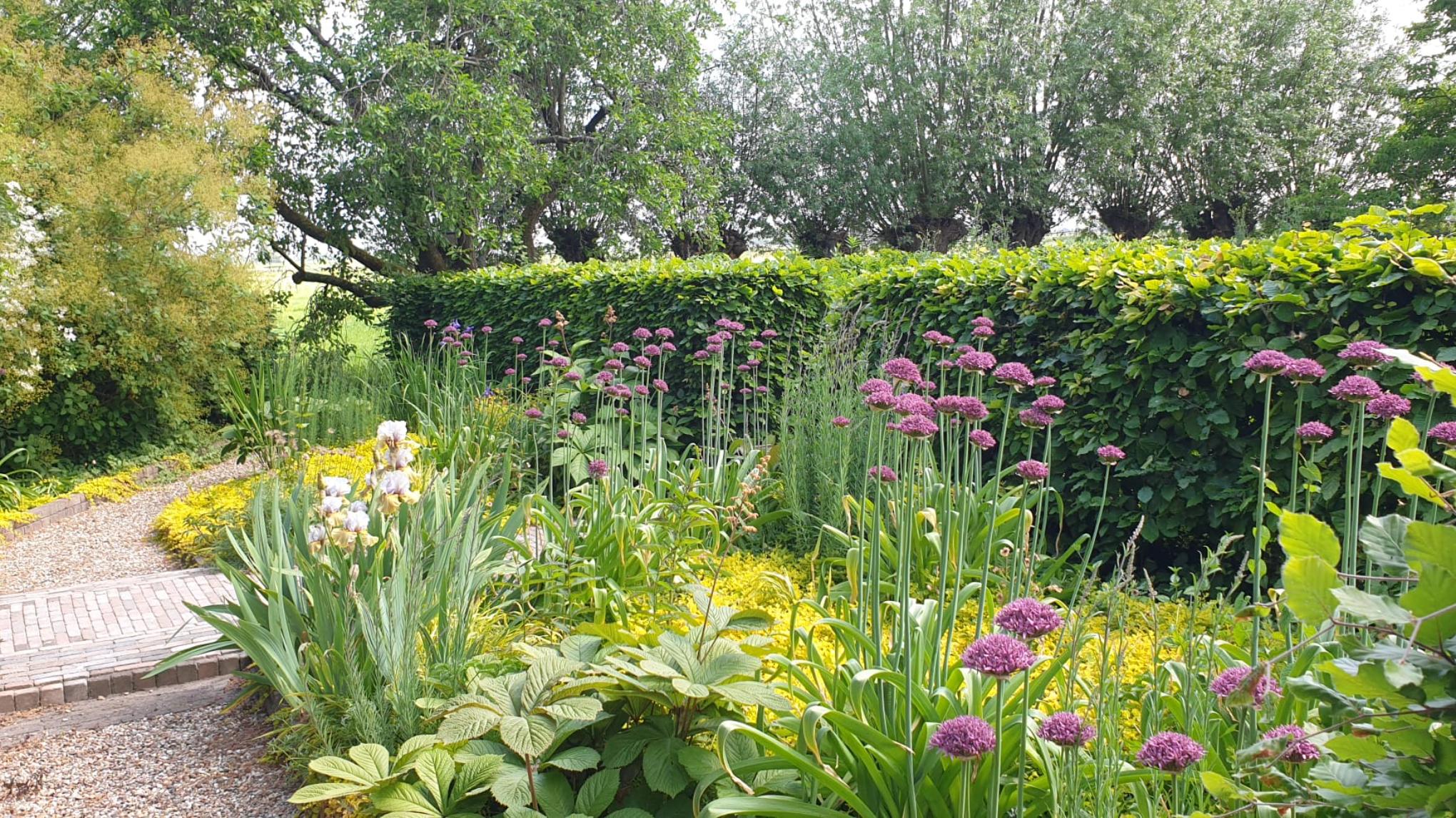 Yoga in de Pullenhof