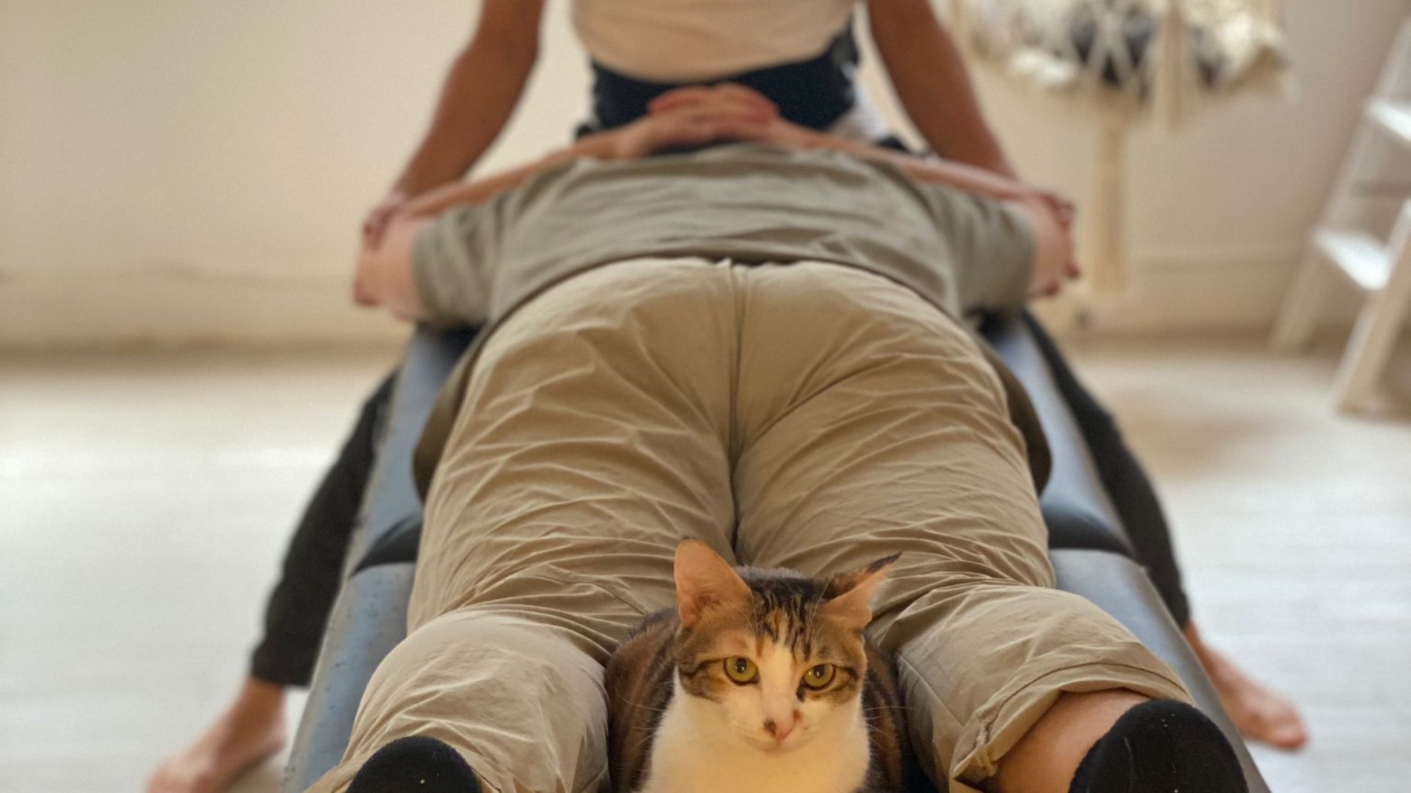 全身整骨（需預約）