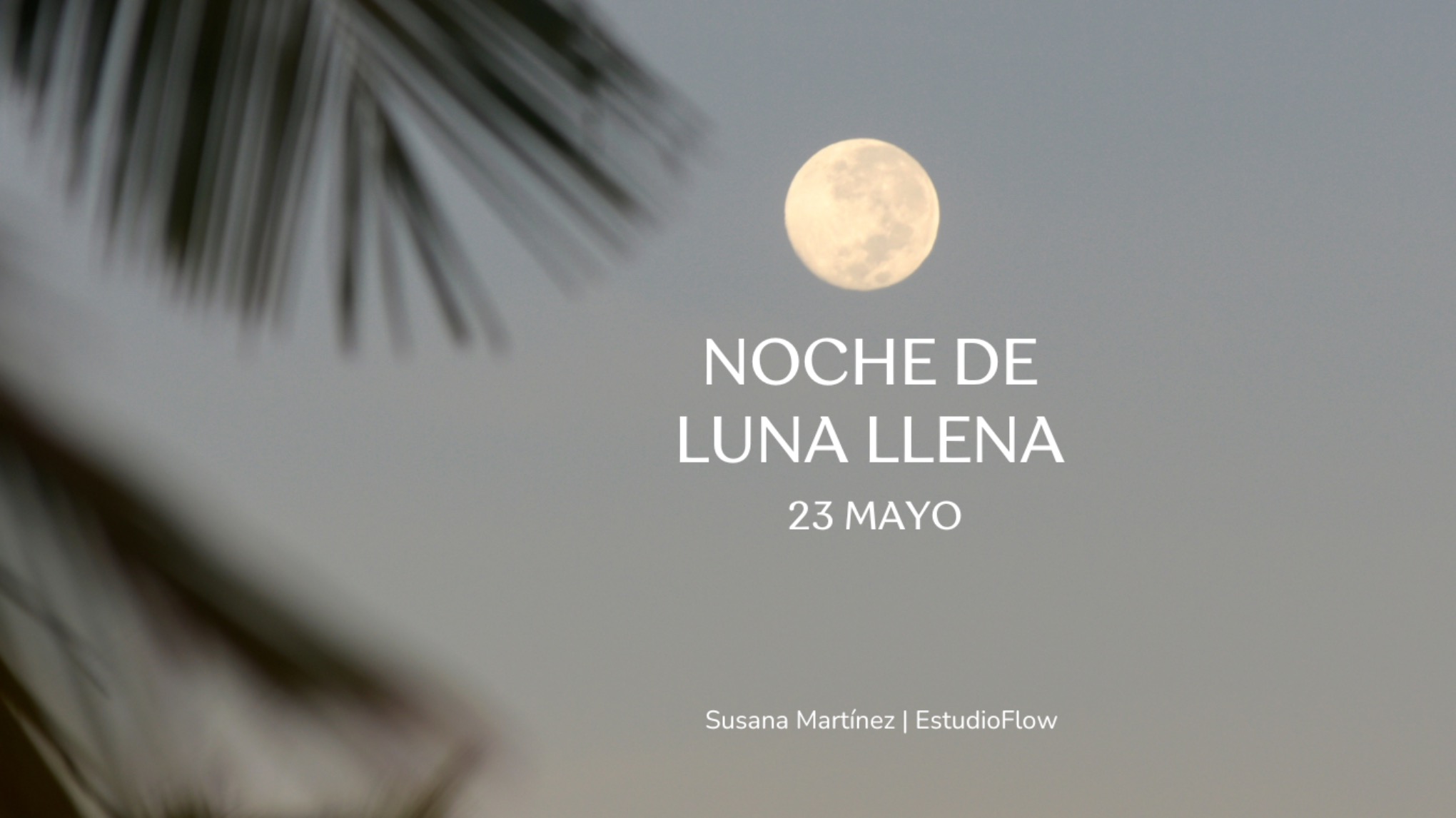 NOCHE DE LUNA LLENA 🌕