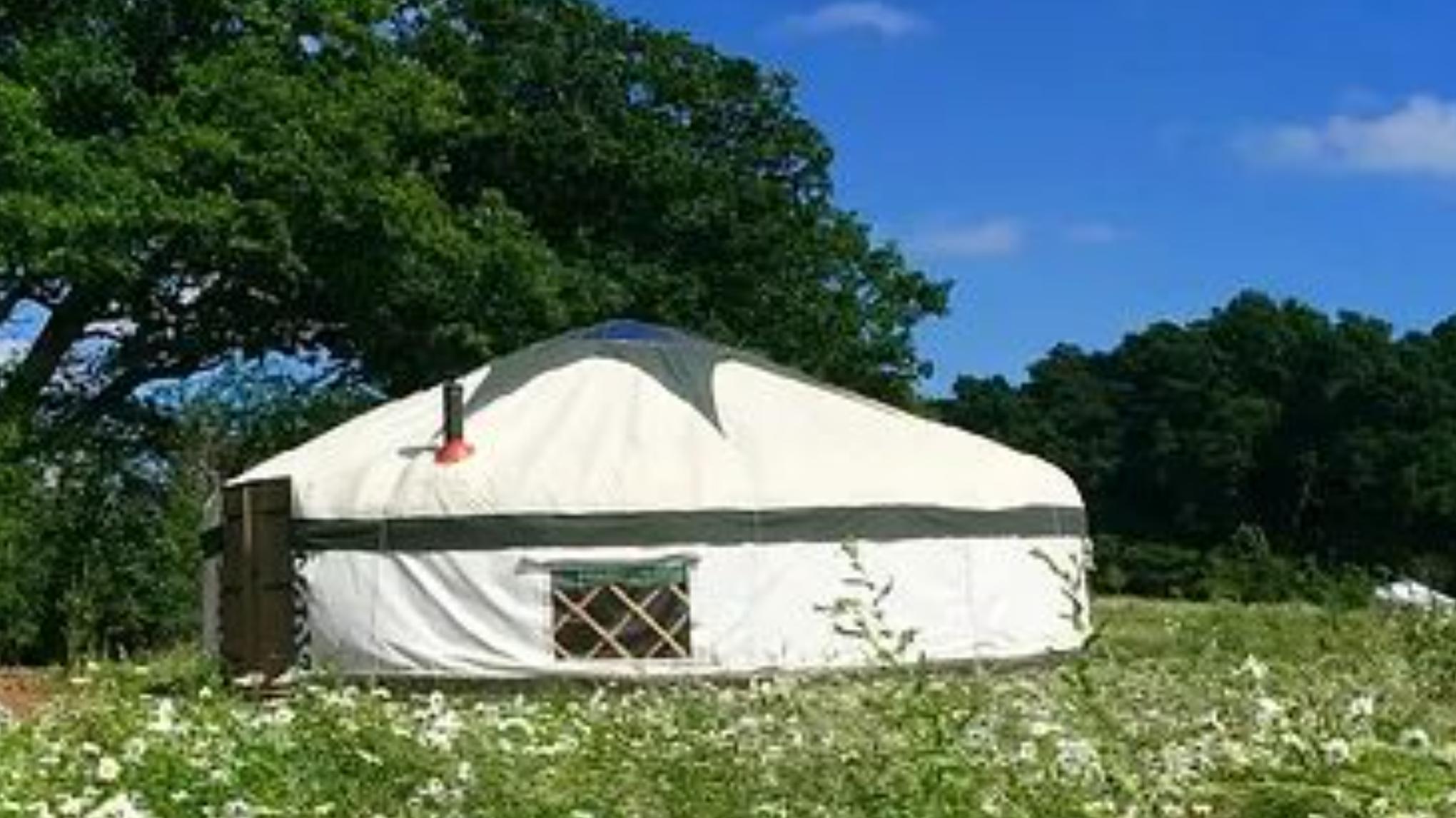 Early Summer Yoga & Sauna Day Retreat