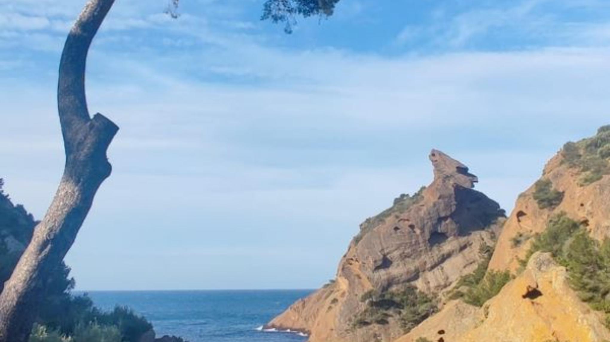 Yoga Brunch à Figuerolles événement