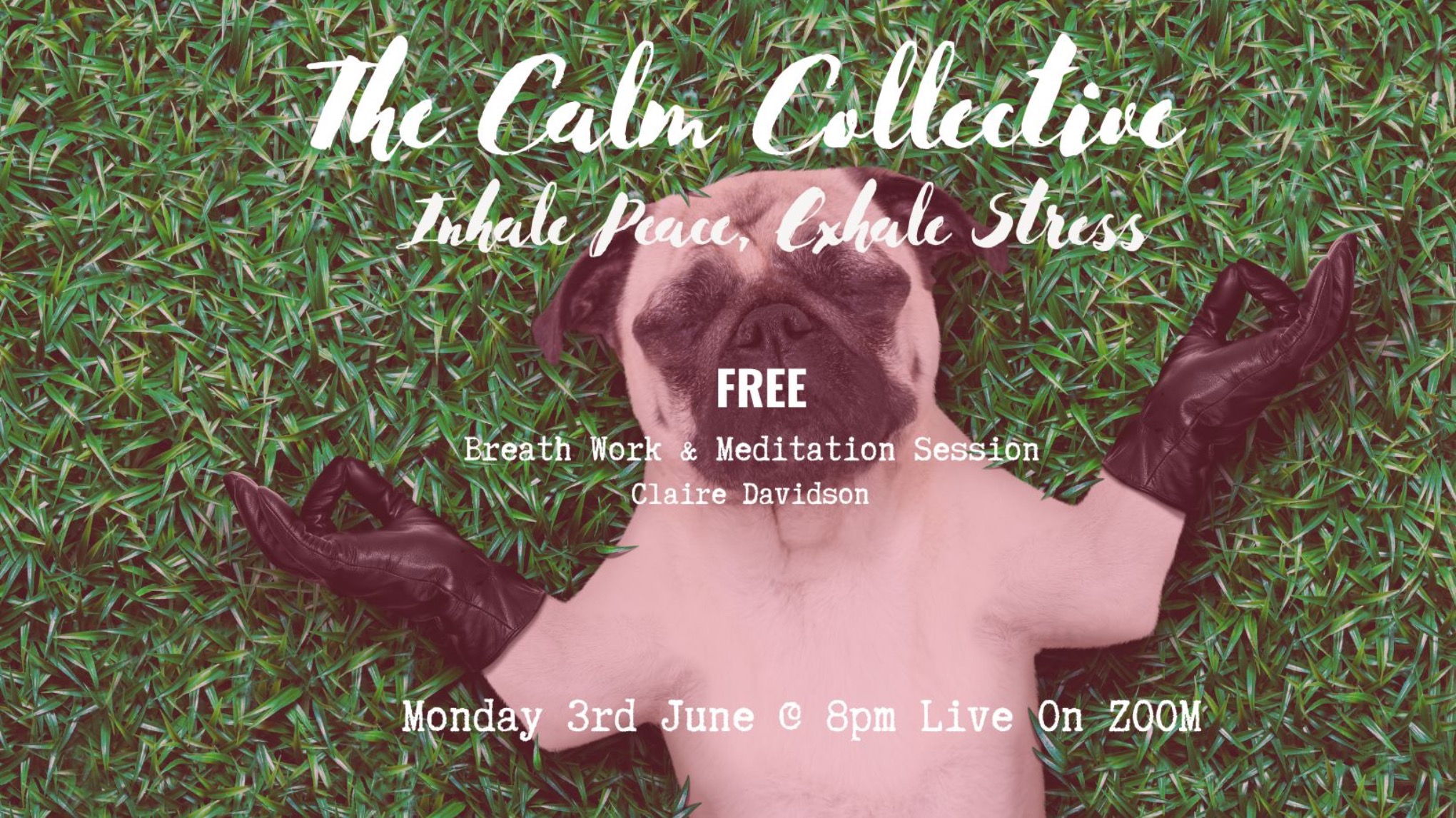 Inhale Peace, Exhale Stress! FREE Monthly Breath Work & Meditation