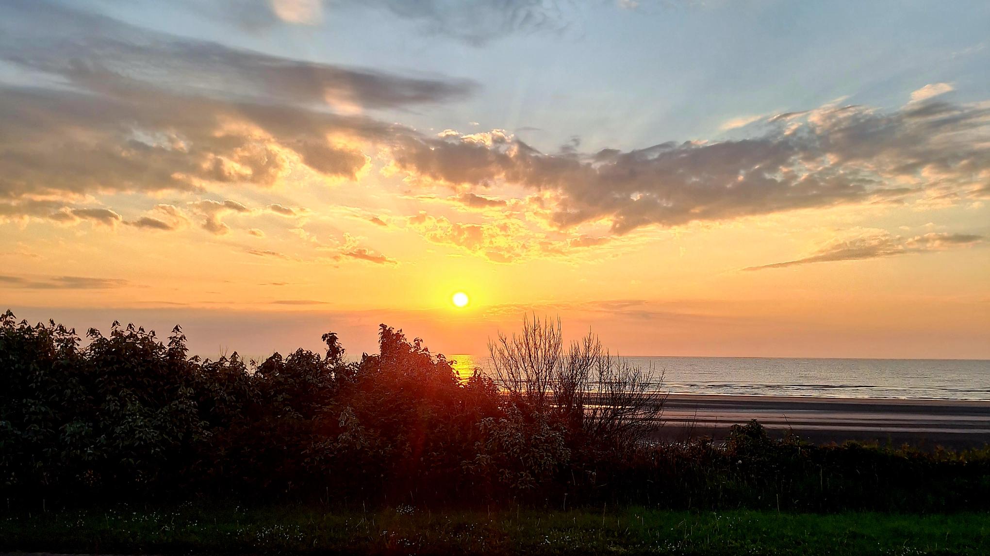 FREE Sunrise Yoga @ Laytown Beach