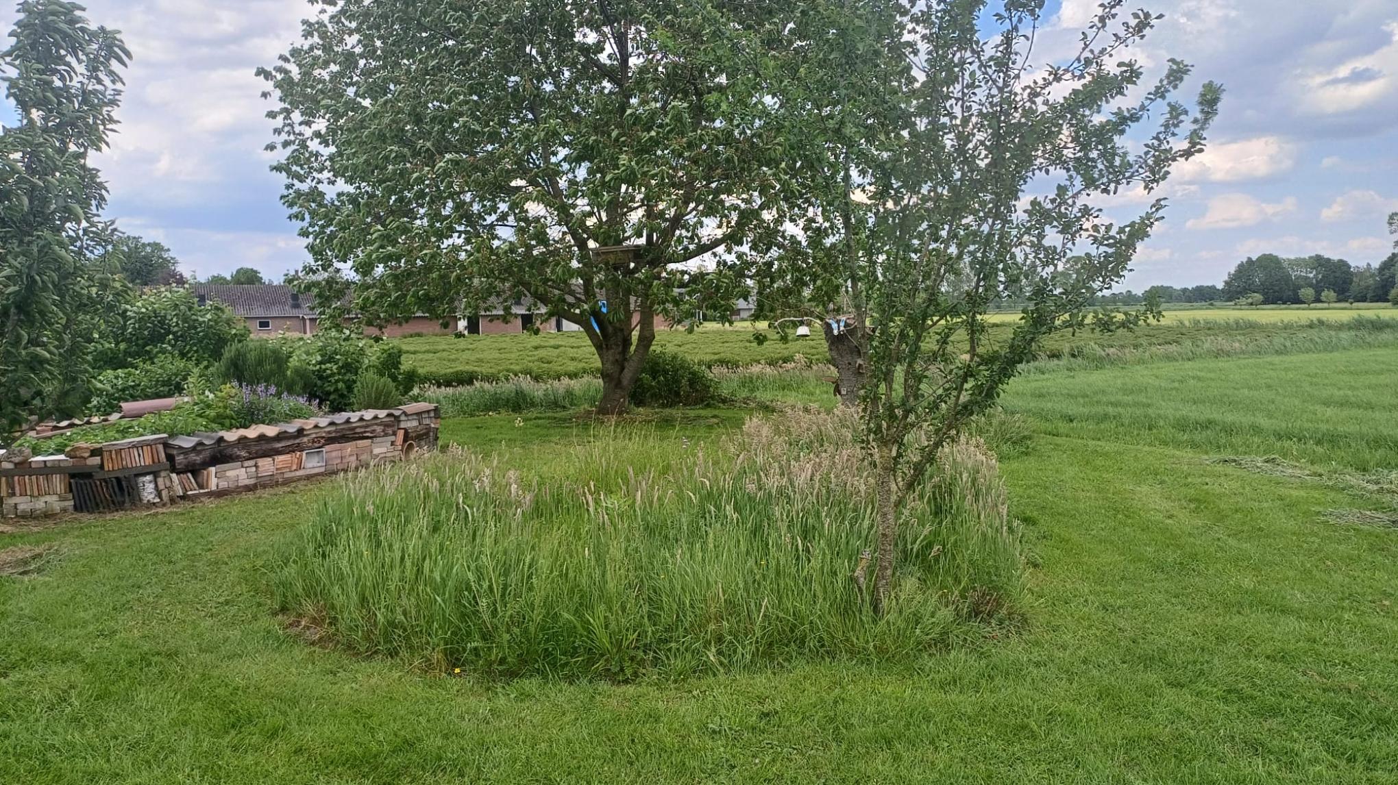 Mid Zomer Yoga Avond - locatie Dorshout 20A - Veghel