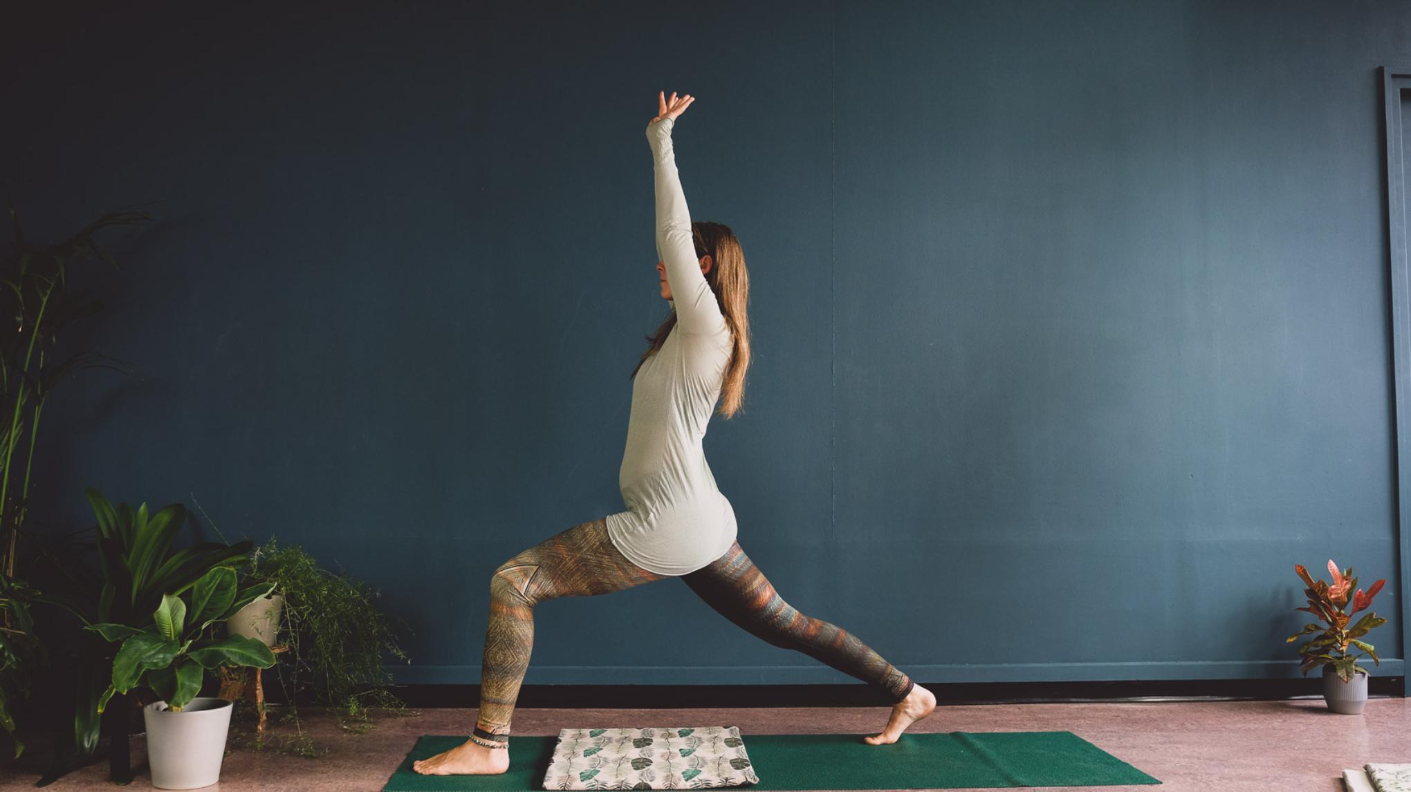 Critical Alignment Flow les met Sonja