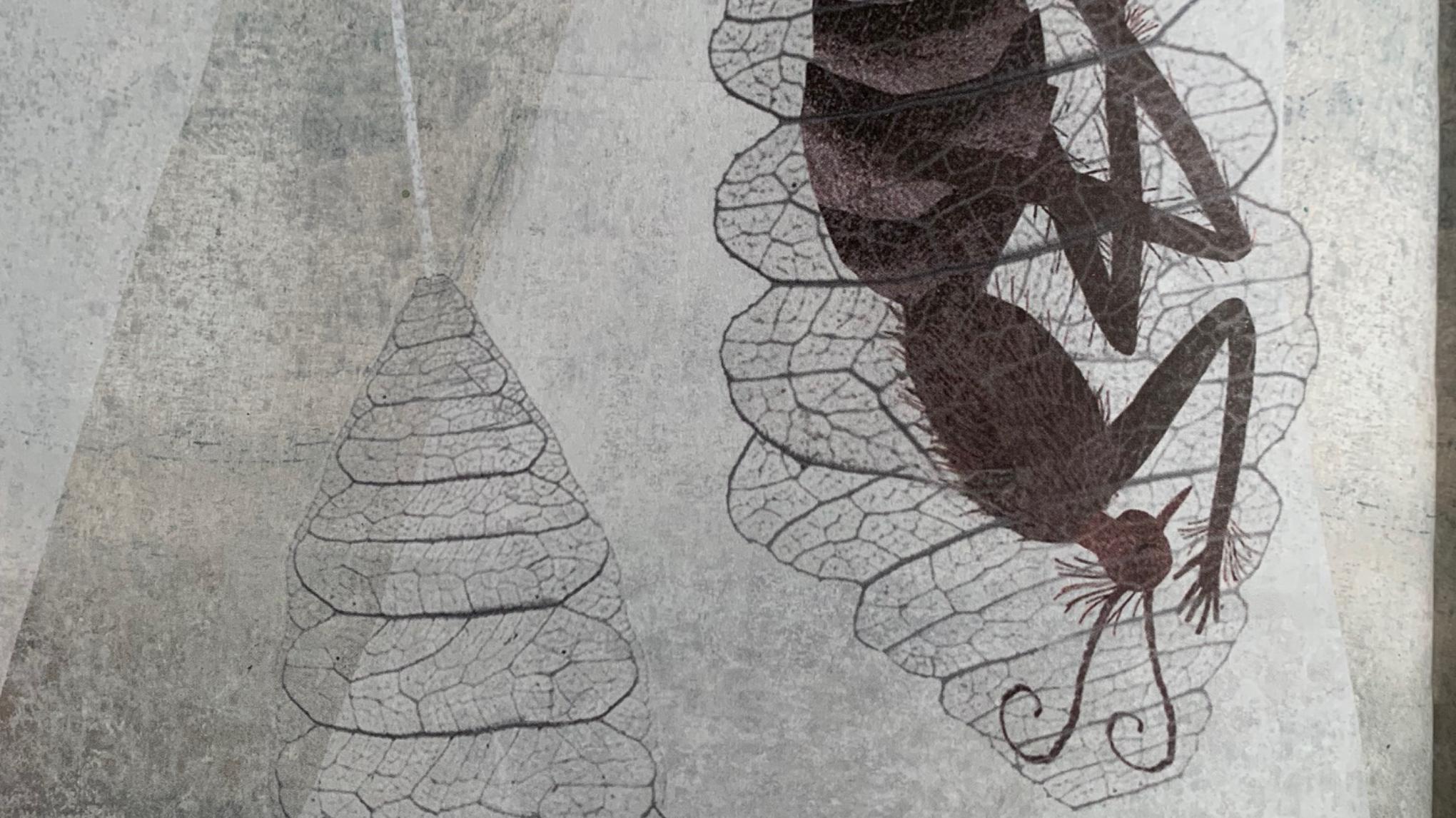 Yin Special September