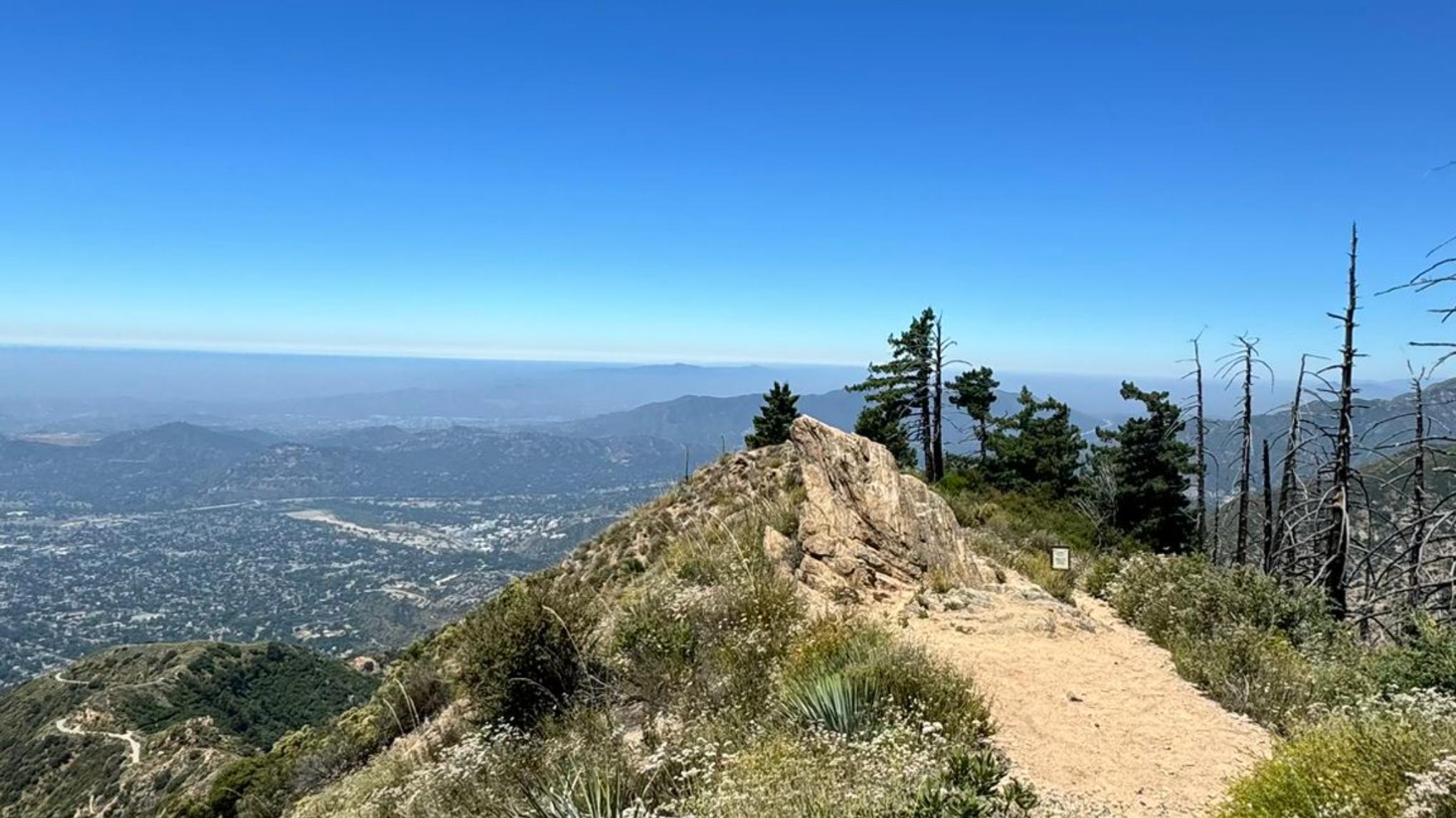 Hike - Social - Griffith Park, Meditate & Brunch -Meet Mother Nature
