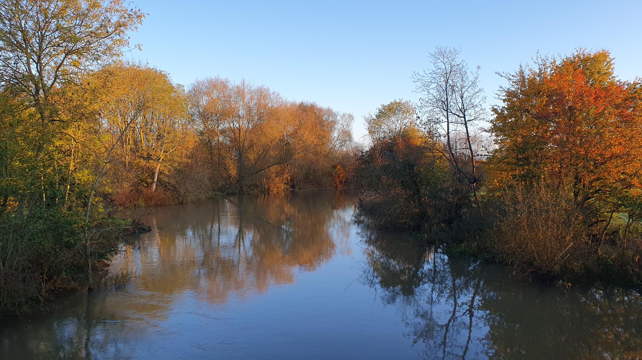 Nourish Yourself Yoga Retreat Day - 3rd November - 10am - 4pm