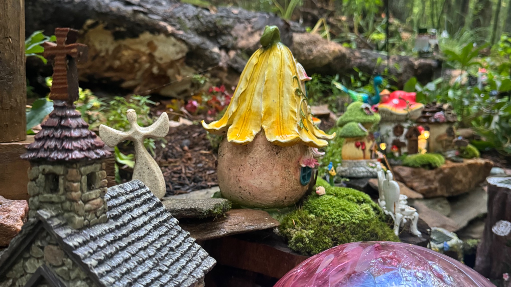 Galax Fairy Trail 🧚‍♂️