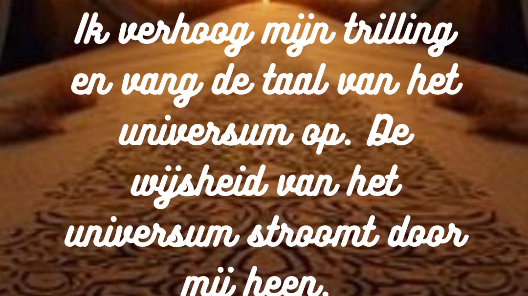 Quantum Tijdlijn Jumpen