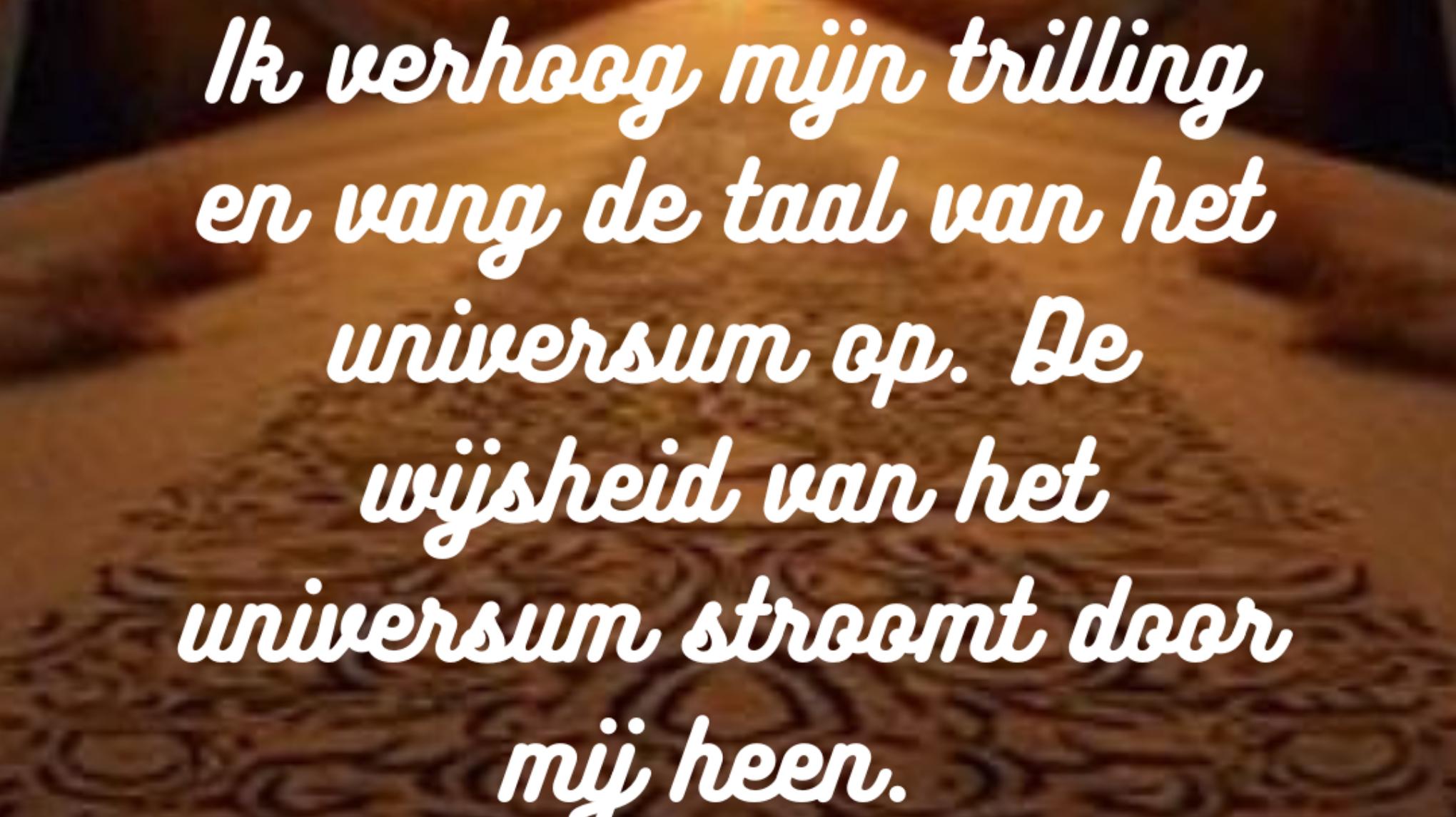 Quantum Tijdlijn Jumpen