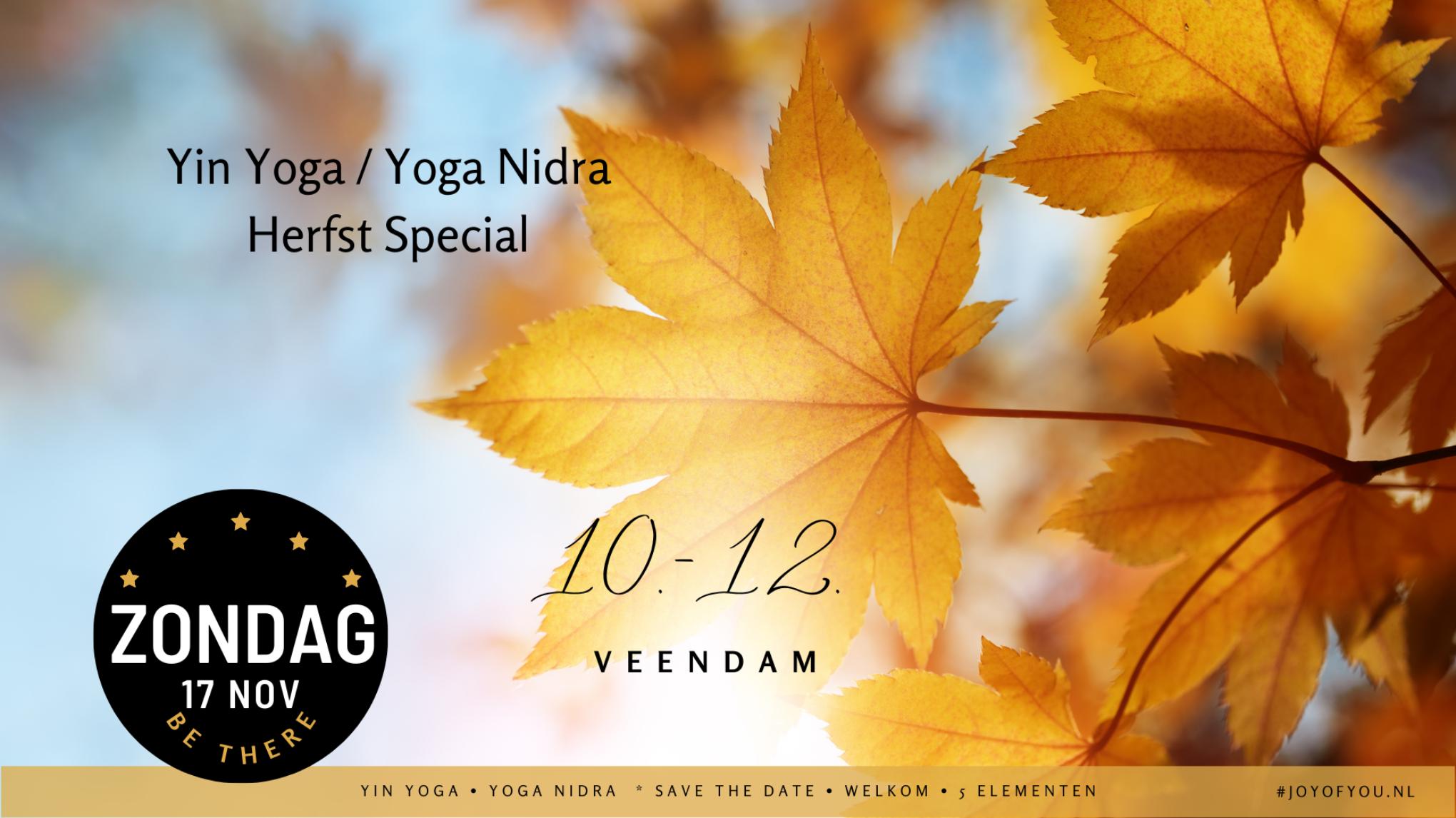 Yin Yoga/Yoga Nidra Herfst Special (vol)