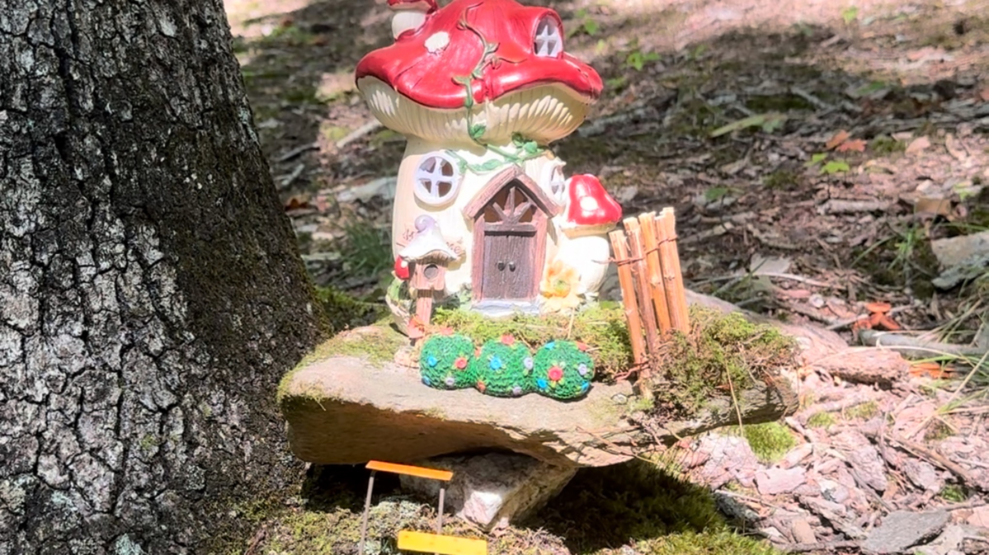 Galax Fairy Trail