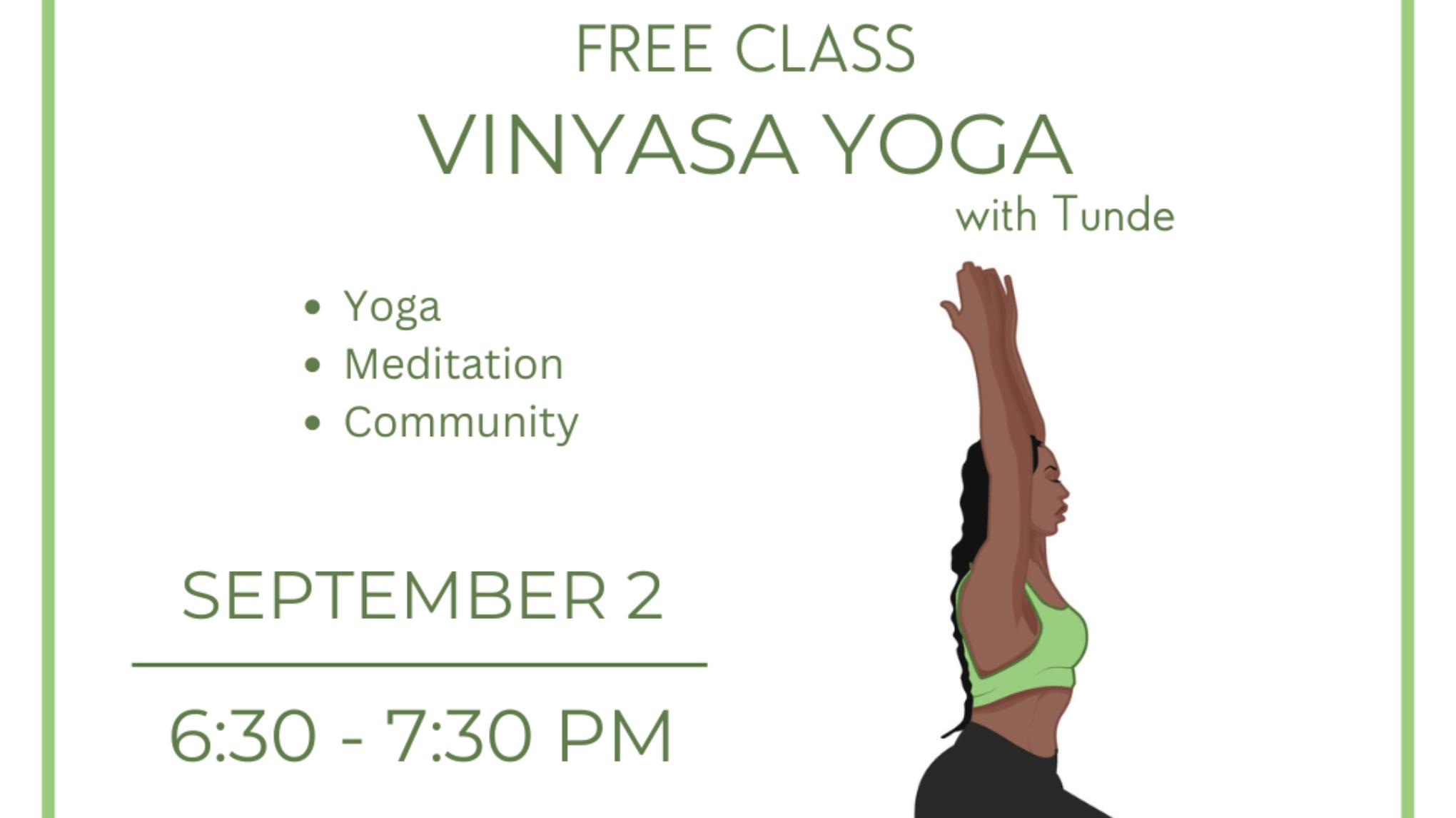 Beginner Friendly Vinyasa - Foundations