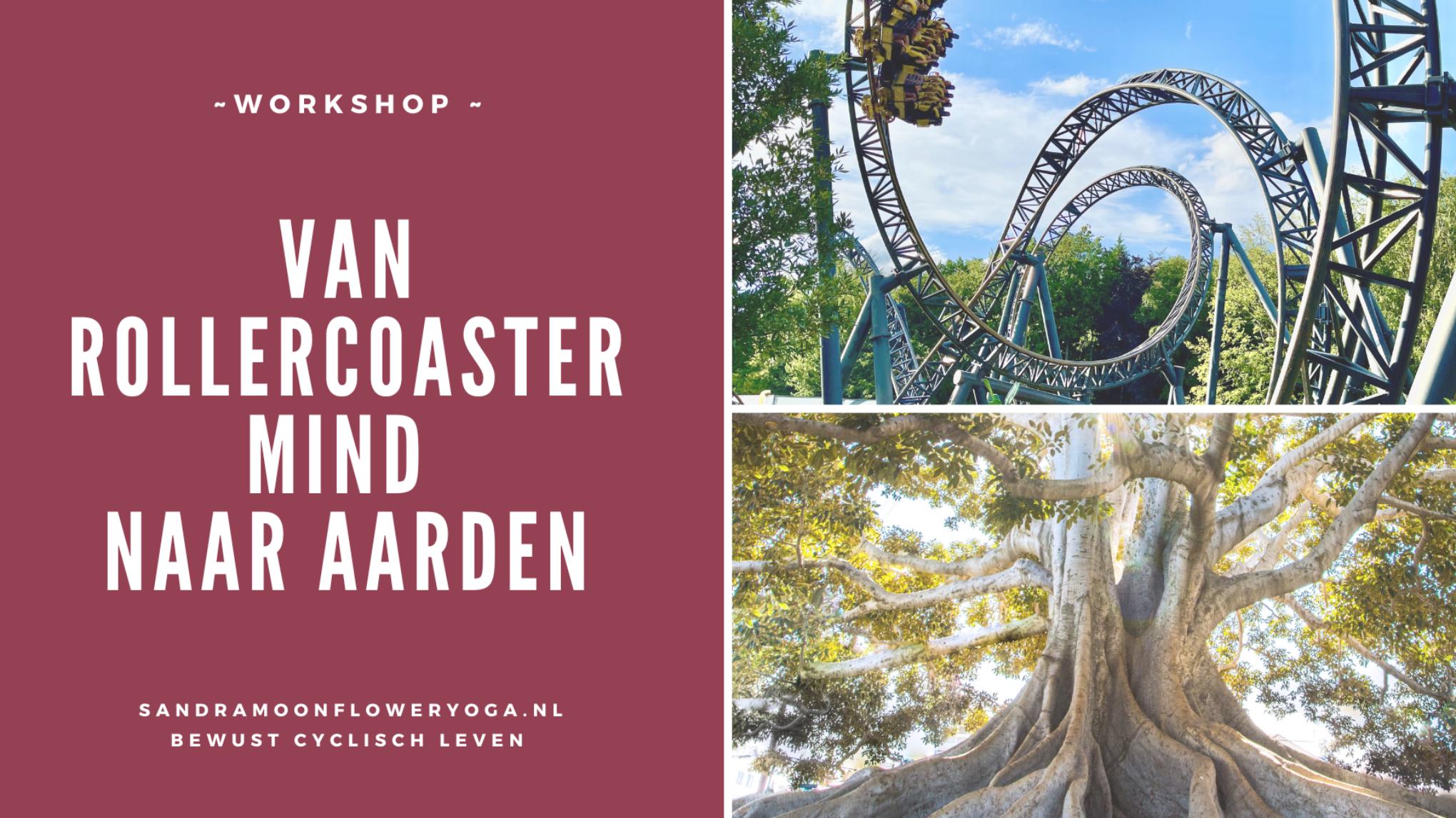 Van Rollercoaster Mind naar Aarden - via de onderste 3 chakra's