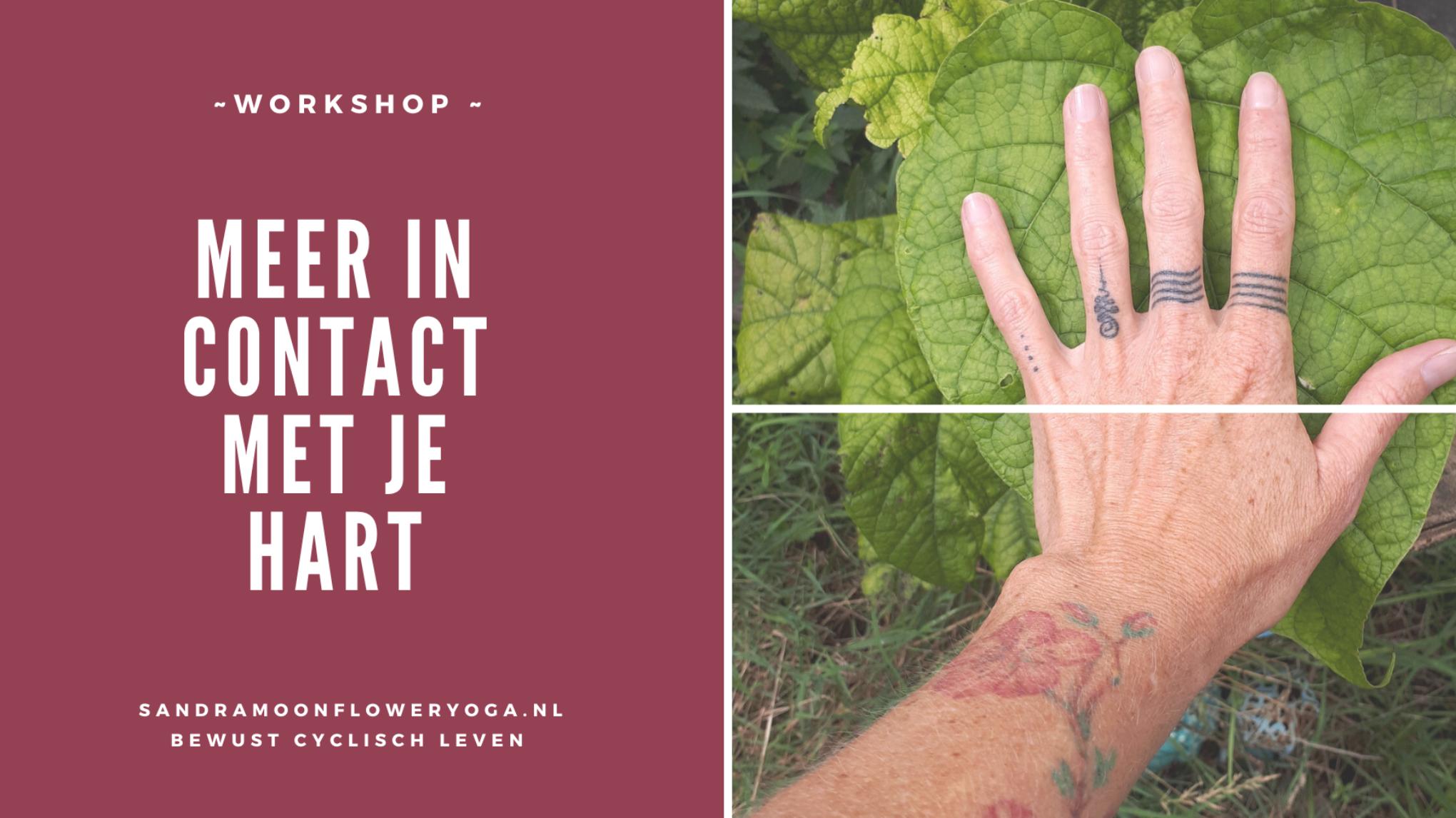 Meer in contact met je Hart - via het middelste chakra