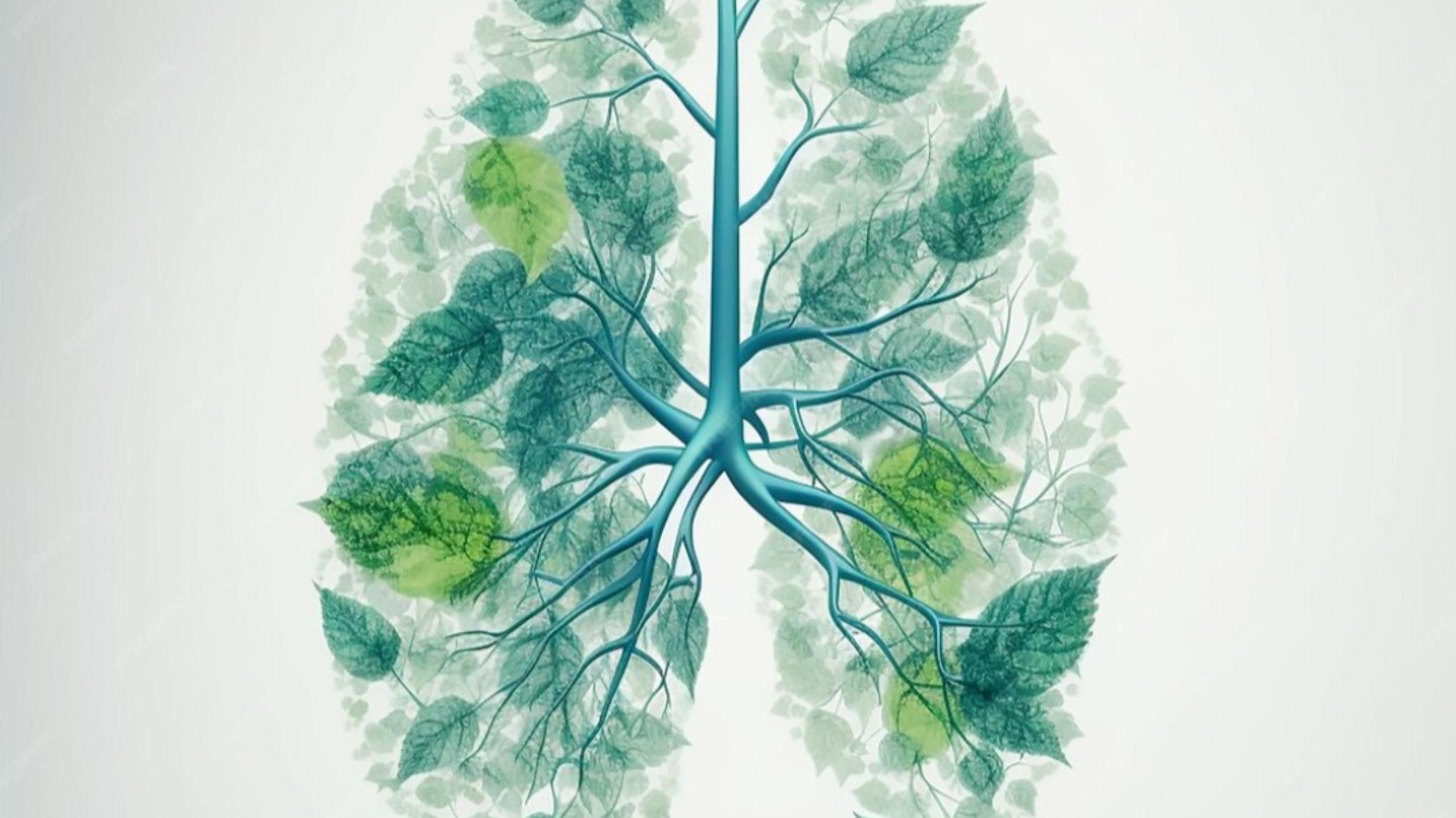 Journée Le souffle, notre allié, volet 1, le souffle réparateur