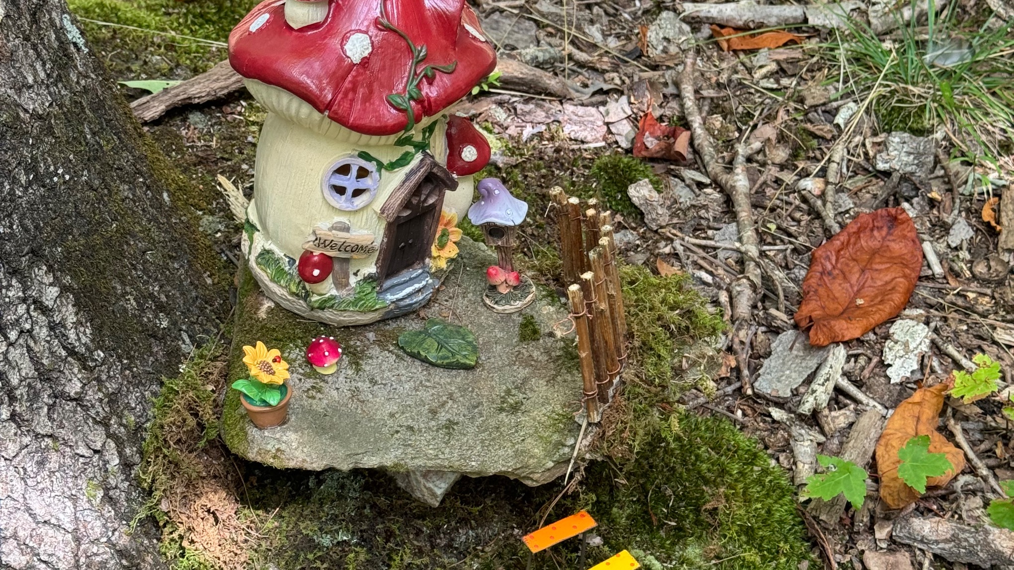 Galax Fairy Trail