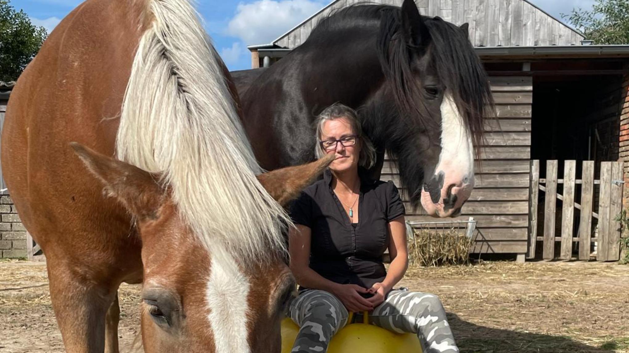 Geleide meditatie tussen de paarden