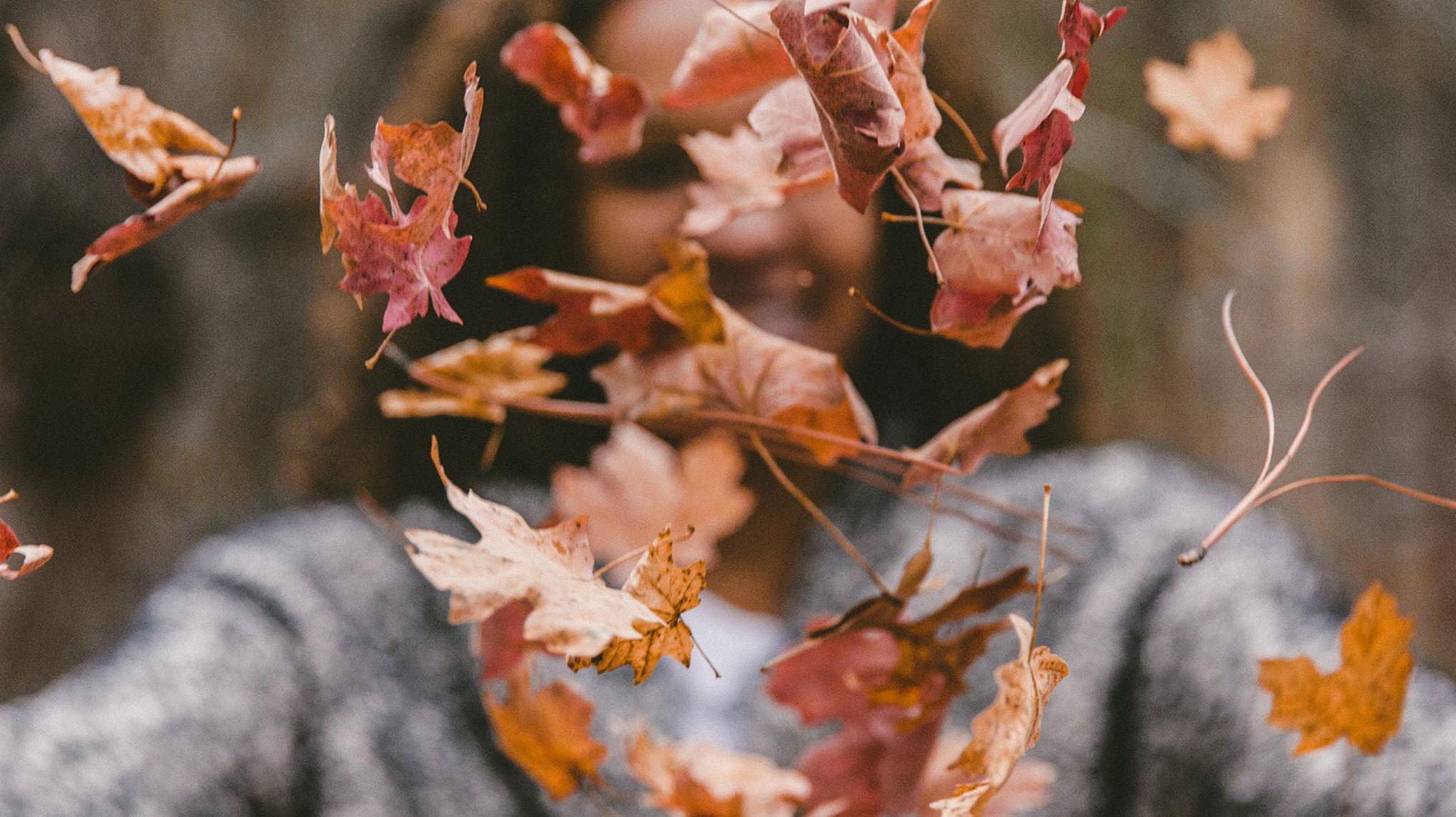 Herfst special: yin & nidra XL