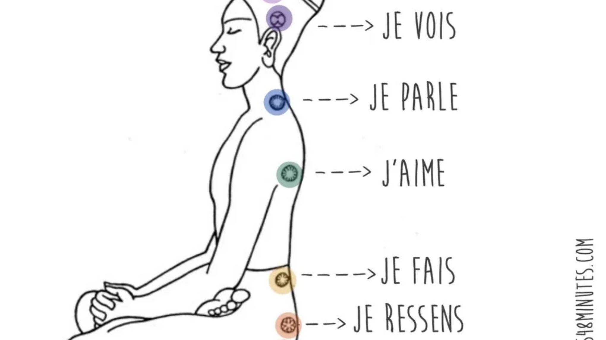 Atelier - La place du bassin dans notre (bien-)être