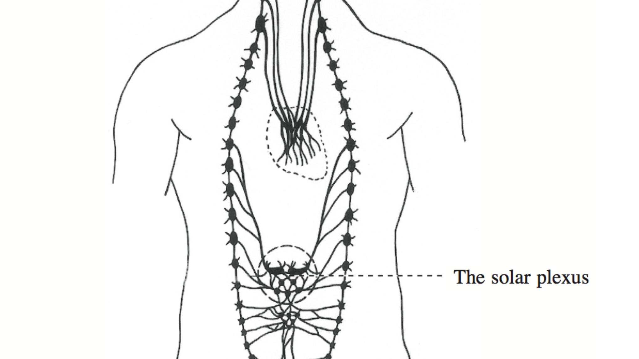 Atelier - Les charmes du ventre