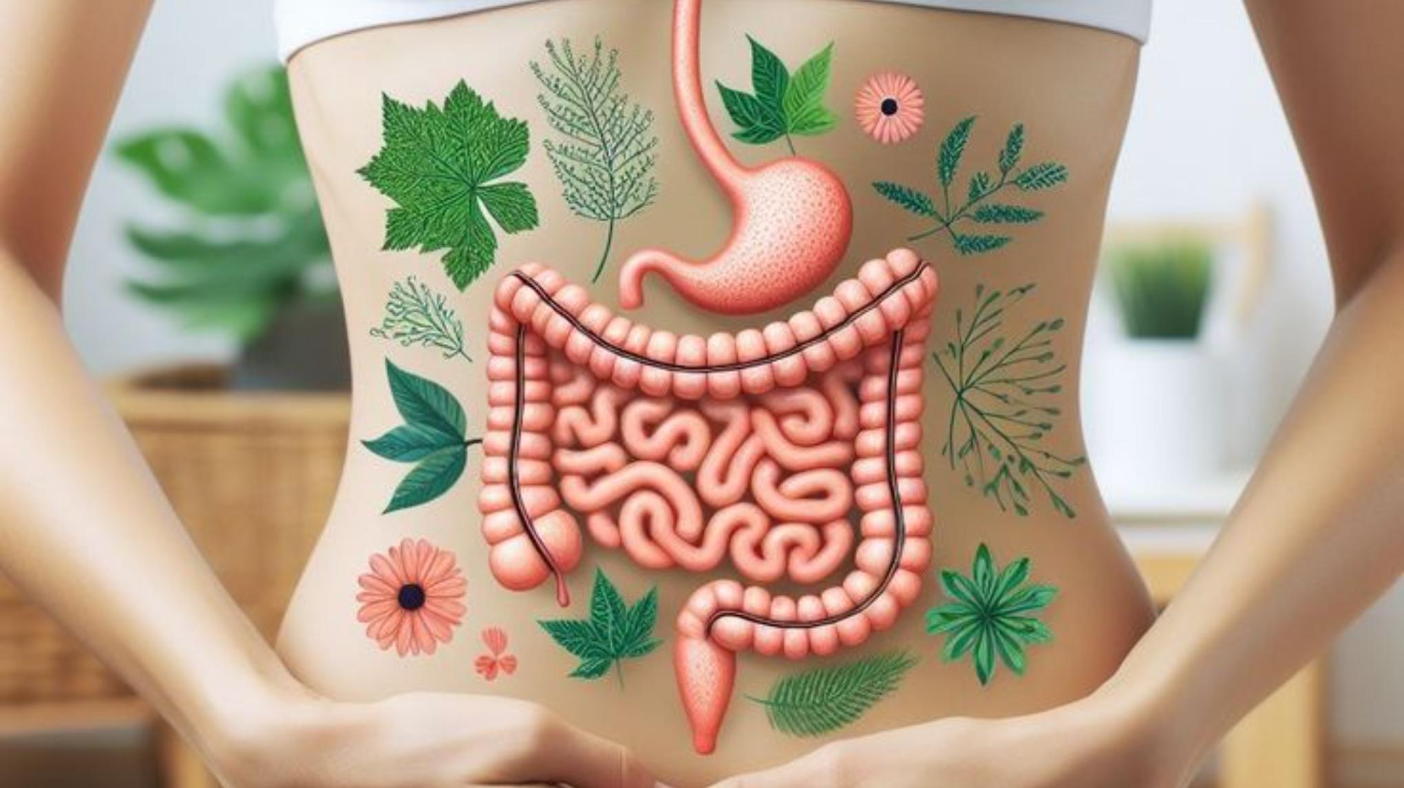 Matinée spéciale digestion