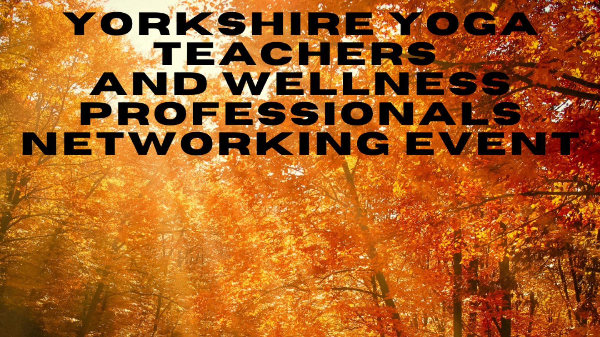 Yorkshire Yoga Teachers & Wellness Professionals Networking Event - Autumn
