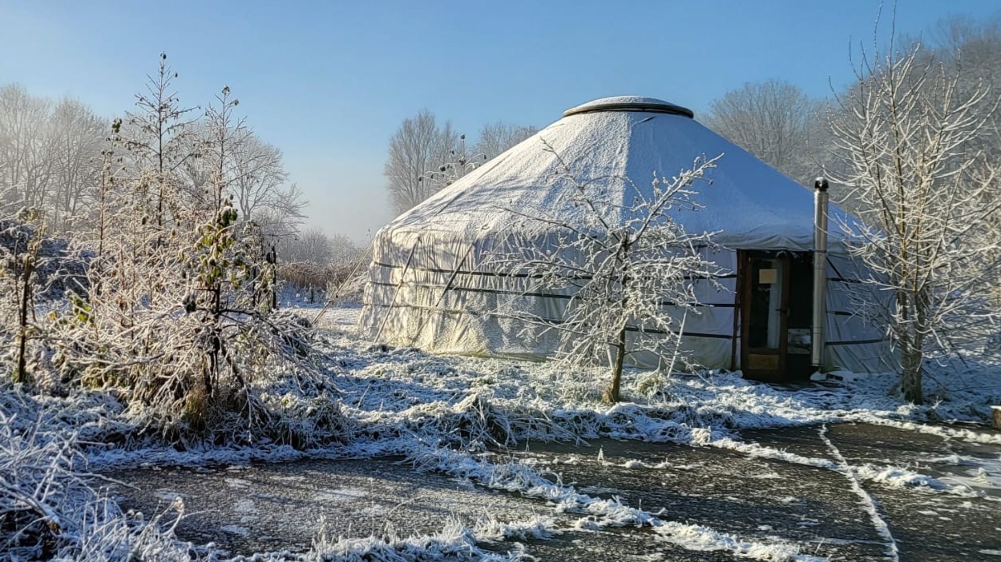 Body Stress & Trauma Release sessie en Yoga Nidra Winter Special @Yurt