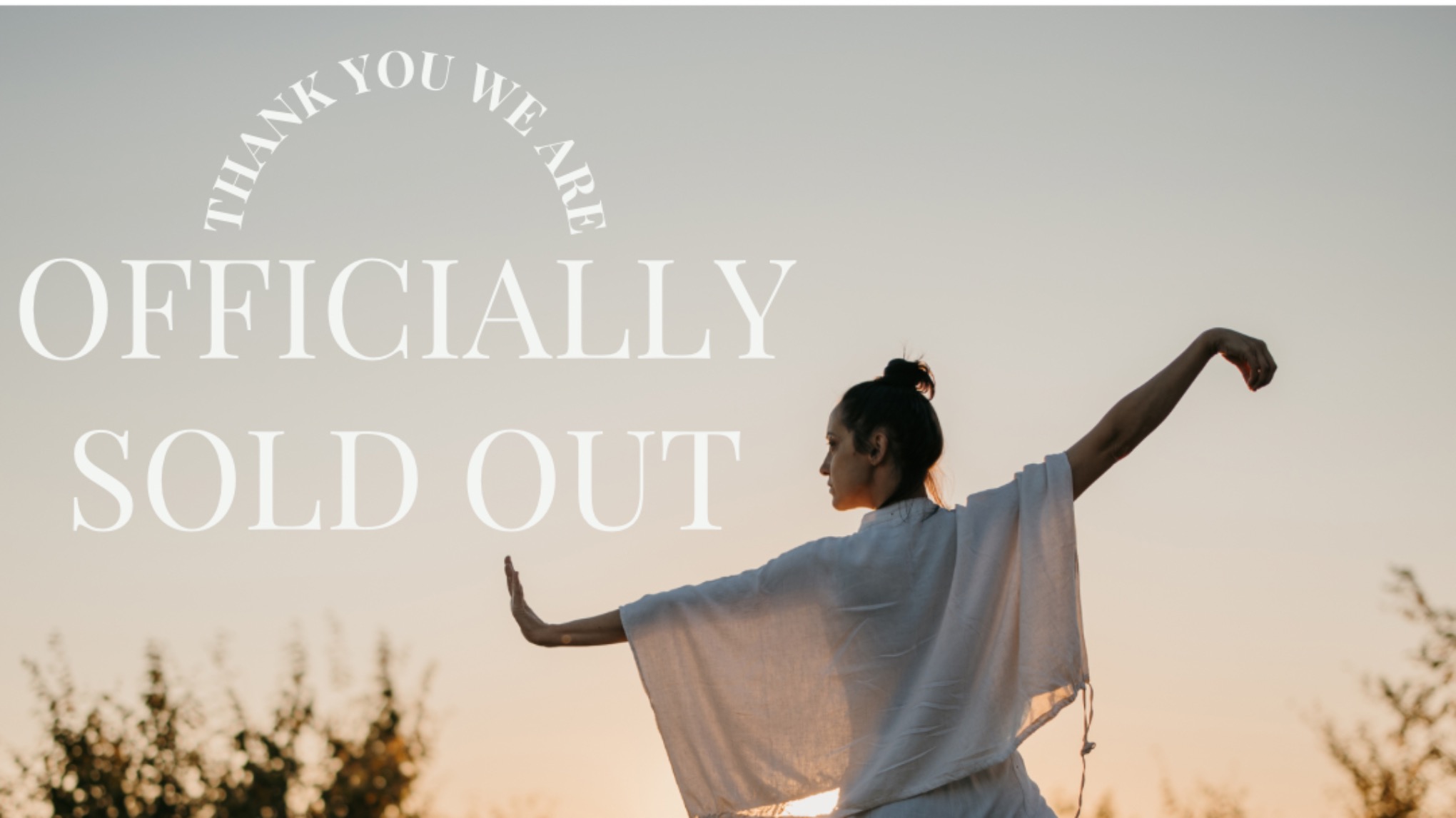 SOLD OUT- ☯️Zen Tai Chi Level 1 Workshop with Sifu Kim