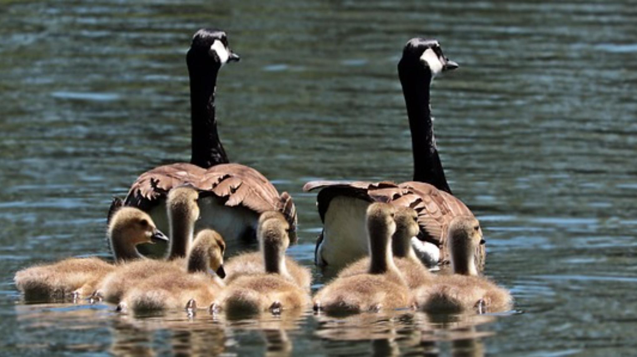 Familie opstelling - Cindy en Anja