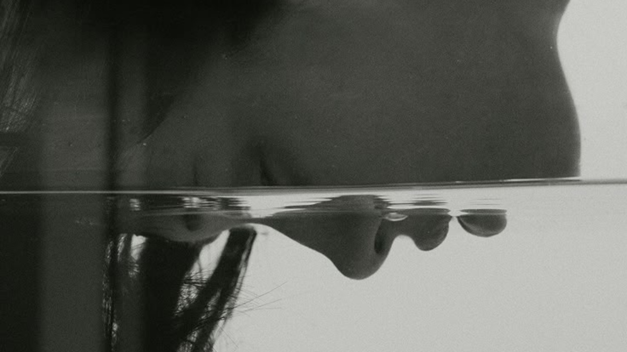 V.E.A "Reconectando con tu frecuencia"