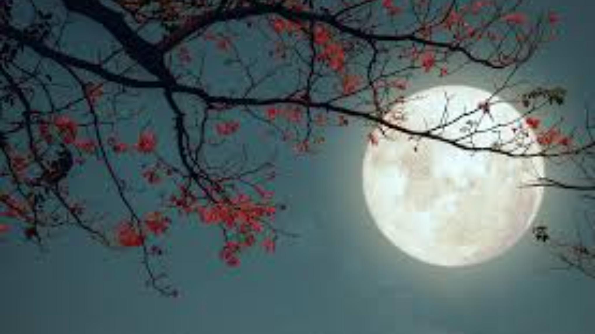 Nada Nidra de la pleine lune, 15 nov