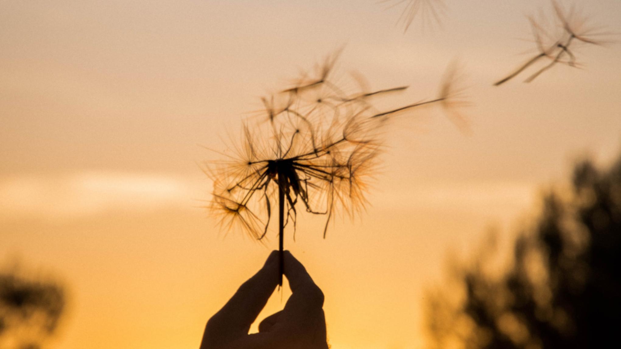 HELLO 2026! visualiseer - manifesteer - creëer jouw nieuwe jaar