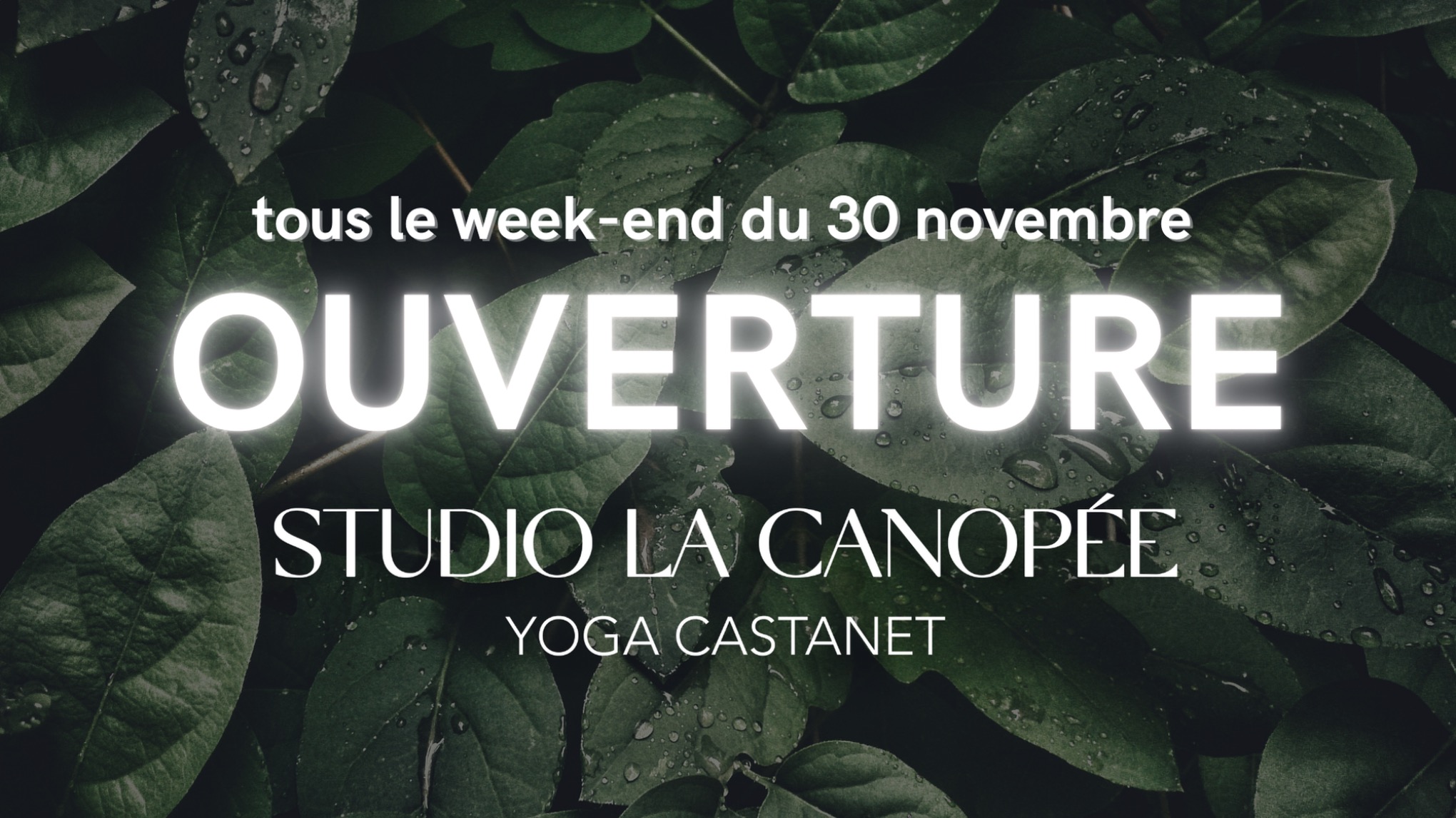 Méditation Guidée 🍃